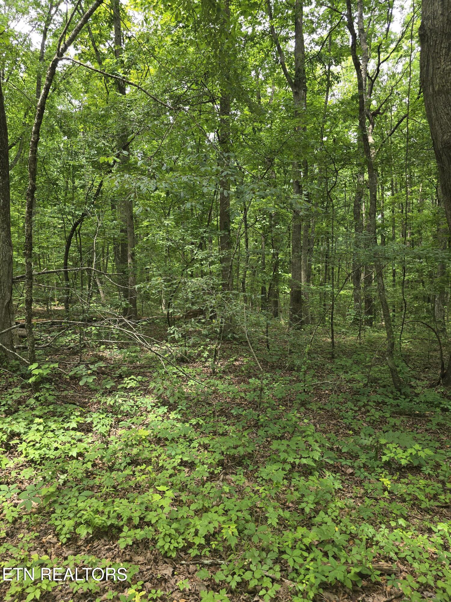 Lot 3 W Wind Way Crossville TN 38572