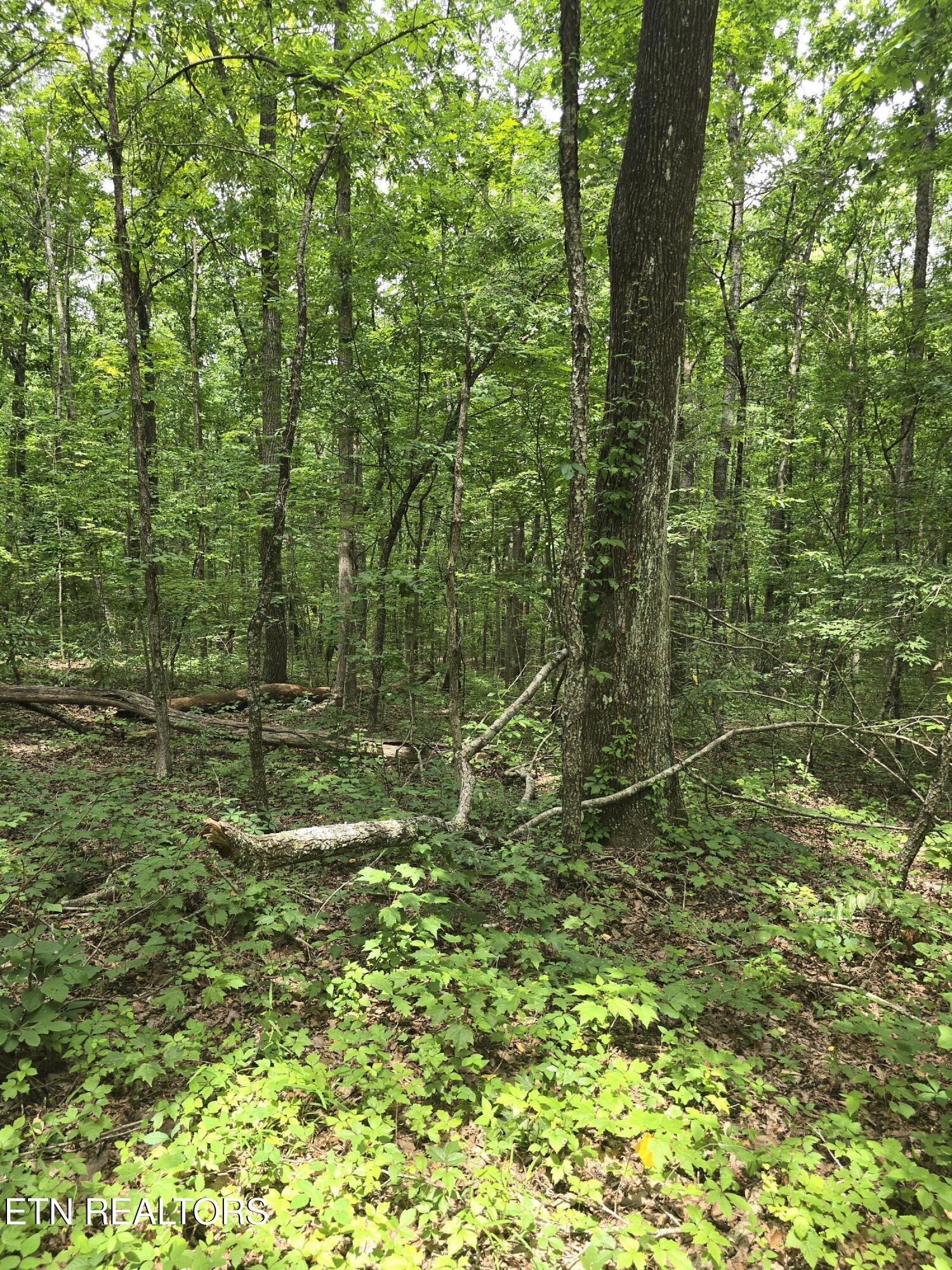 Lot 3 W Wind Way Crossville TN 38572