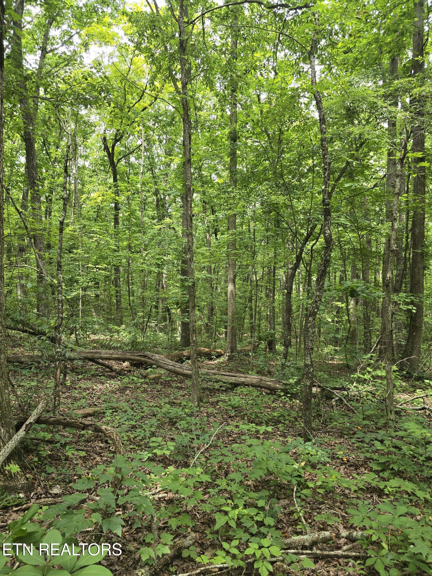 Lot 3 W Wind Way Crossville TN 38572