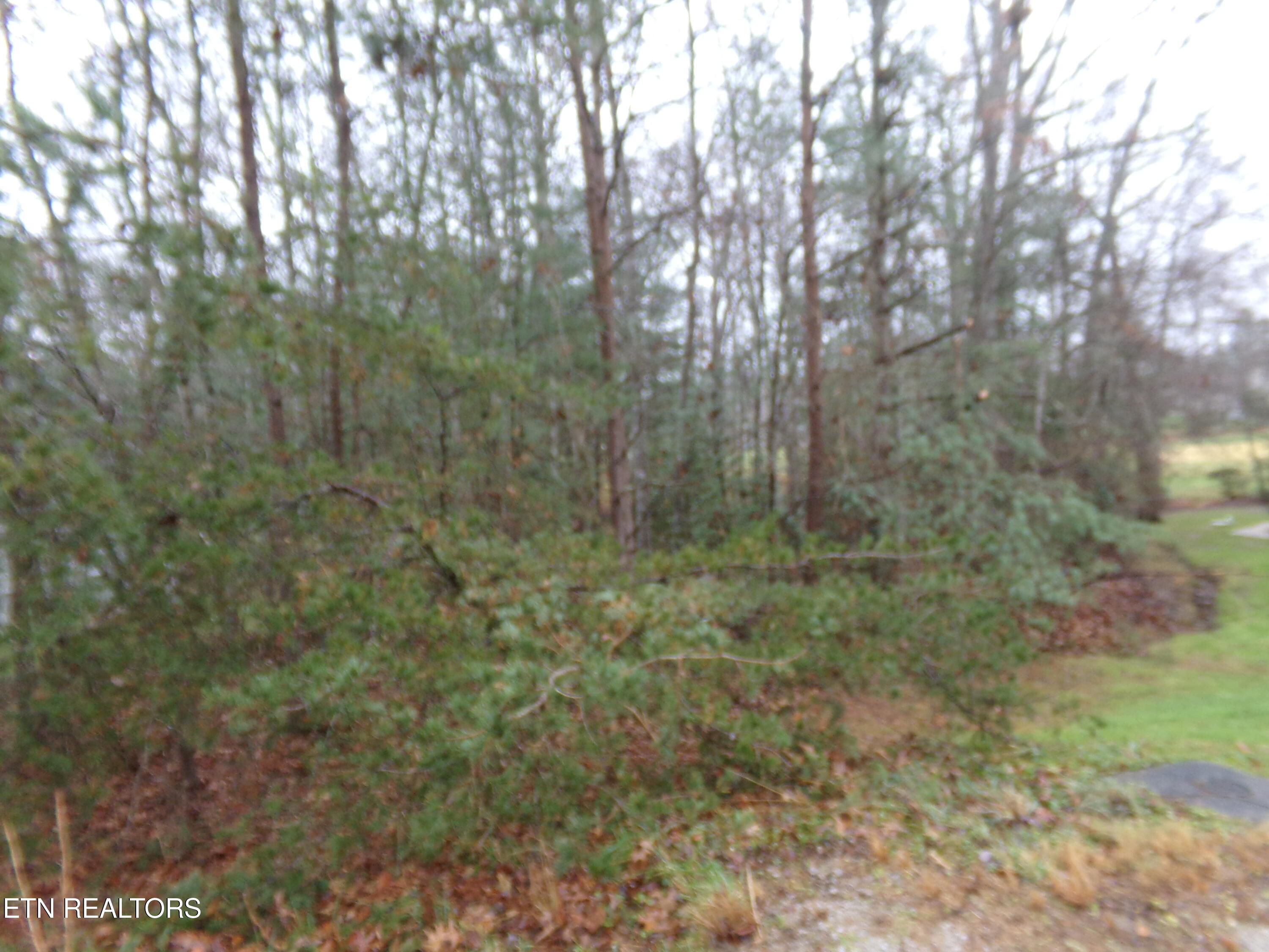 15 Kenwood Court Crossville TN 38558