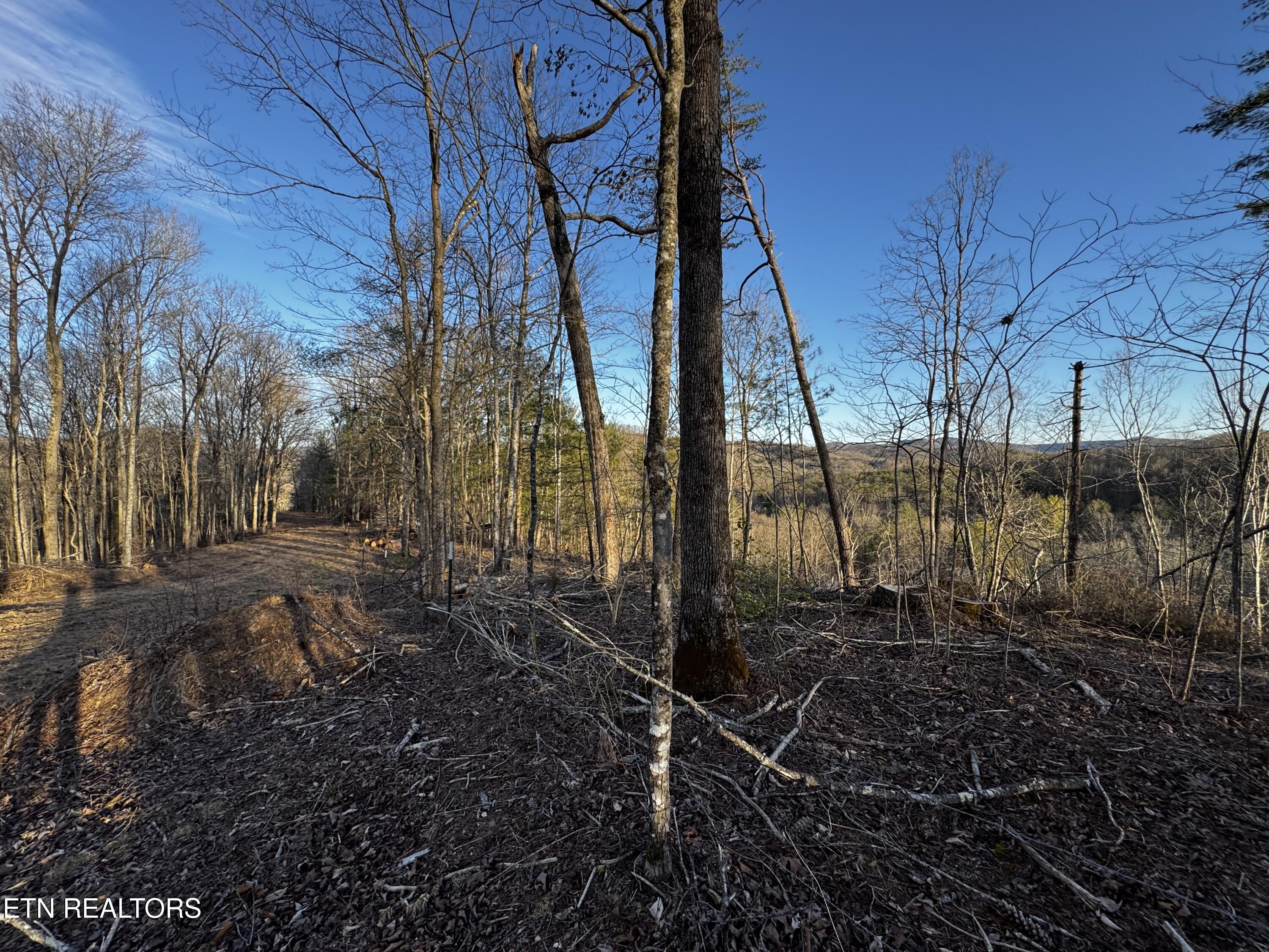 River Road Huntsville TN 37756