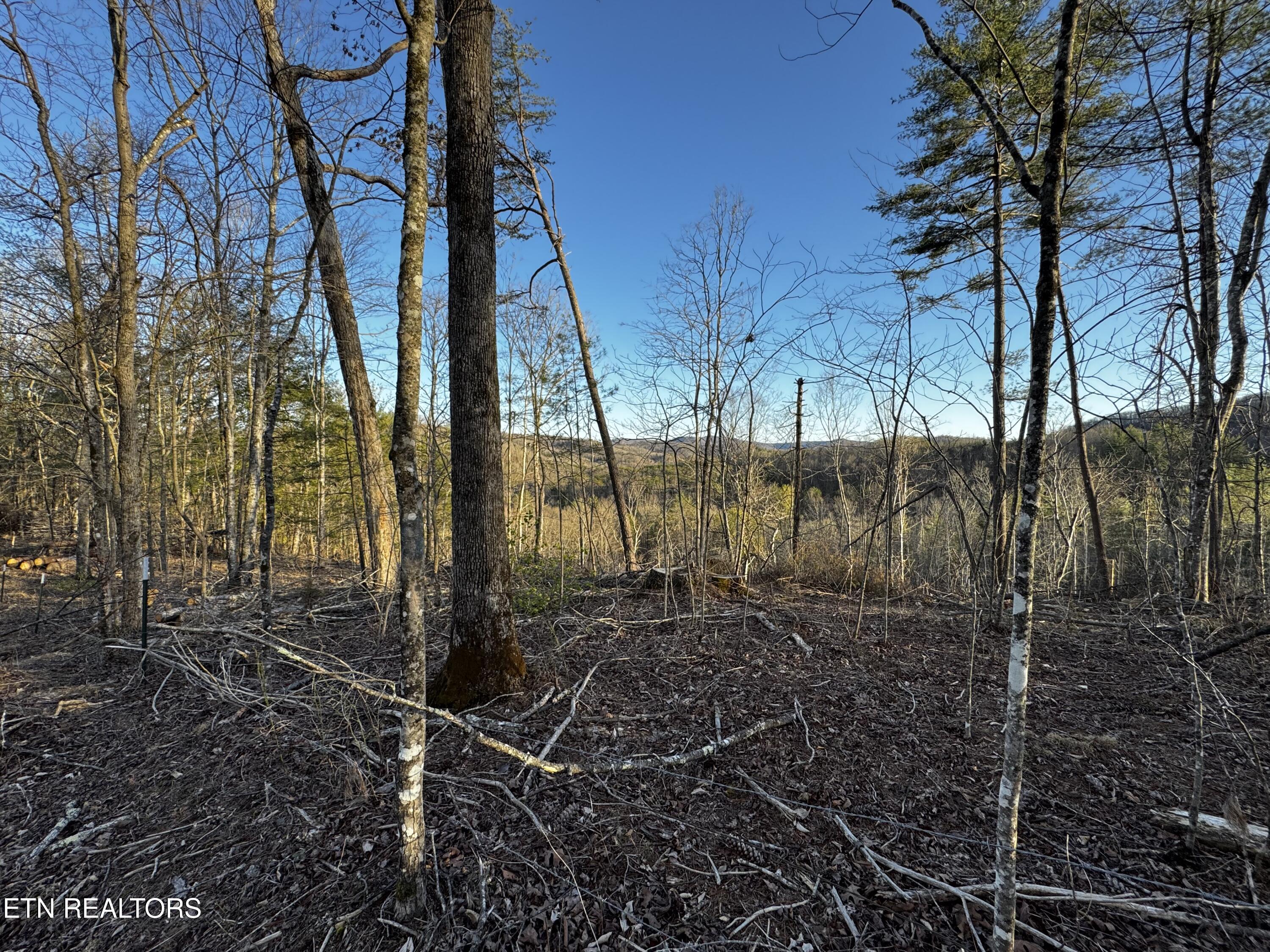 River Road Huntsville TN 37756