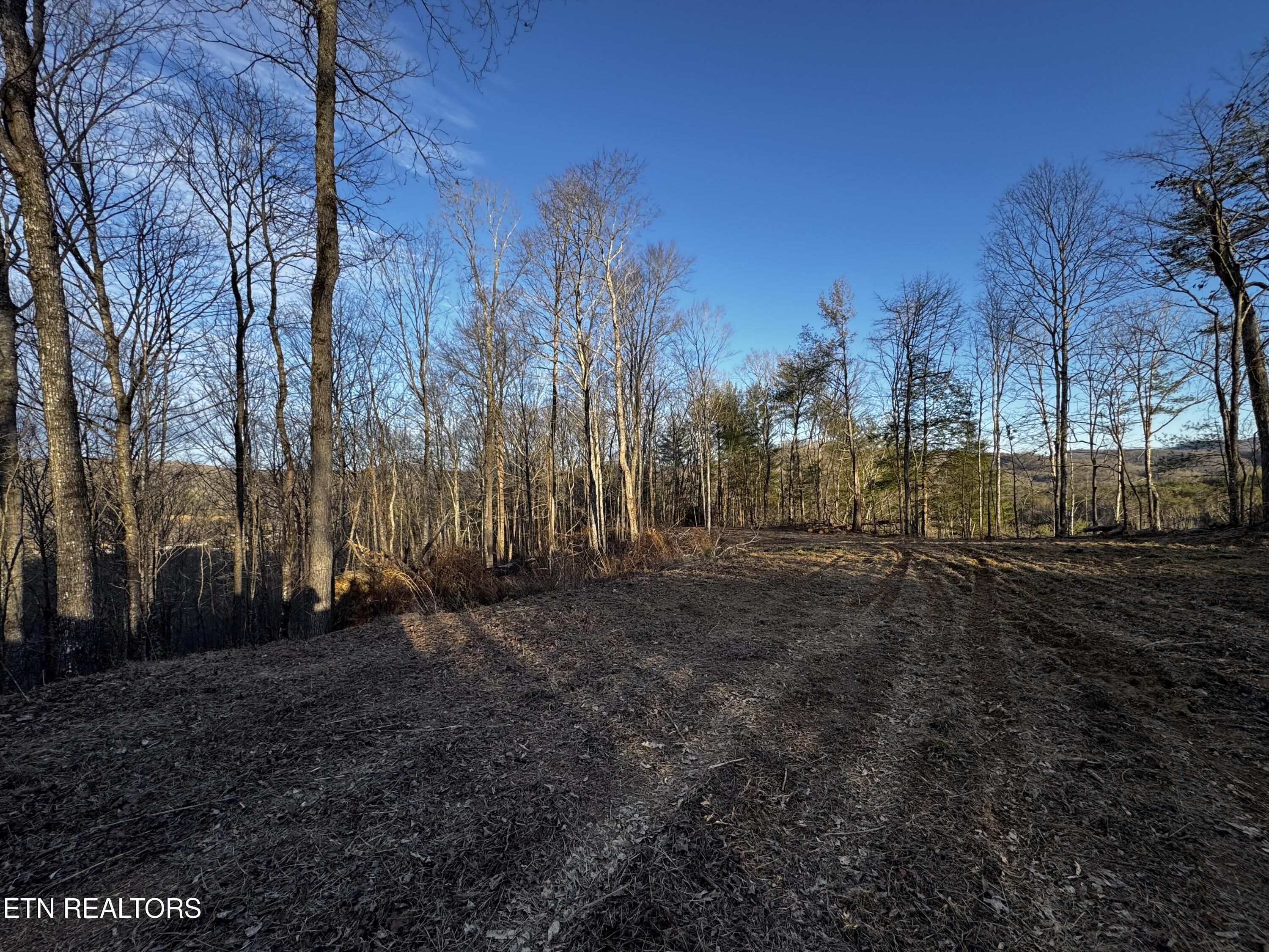 River Road Huntsville TN 37756