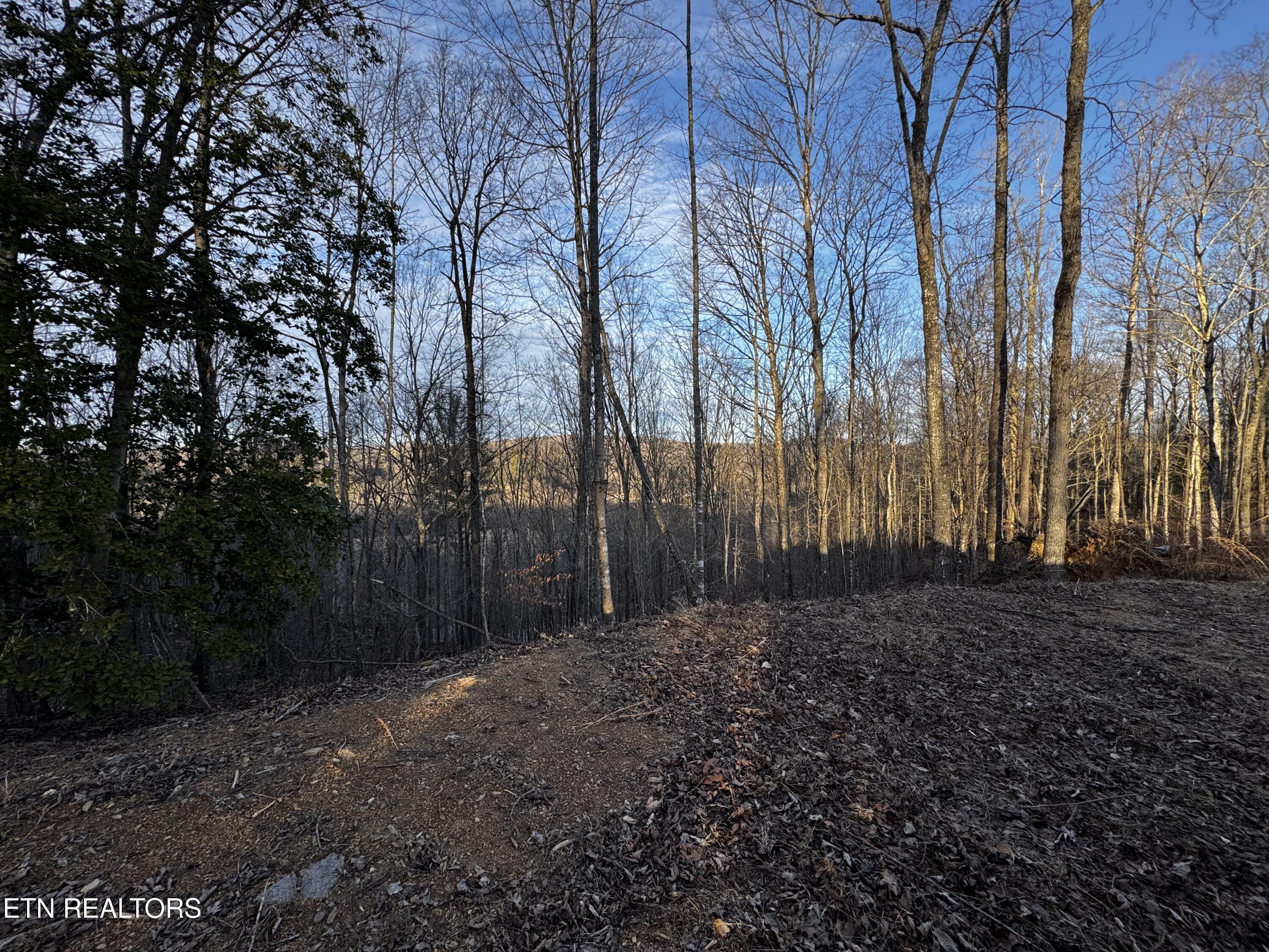 River Road Huntsville TN 37756