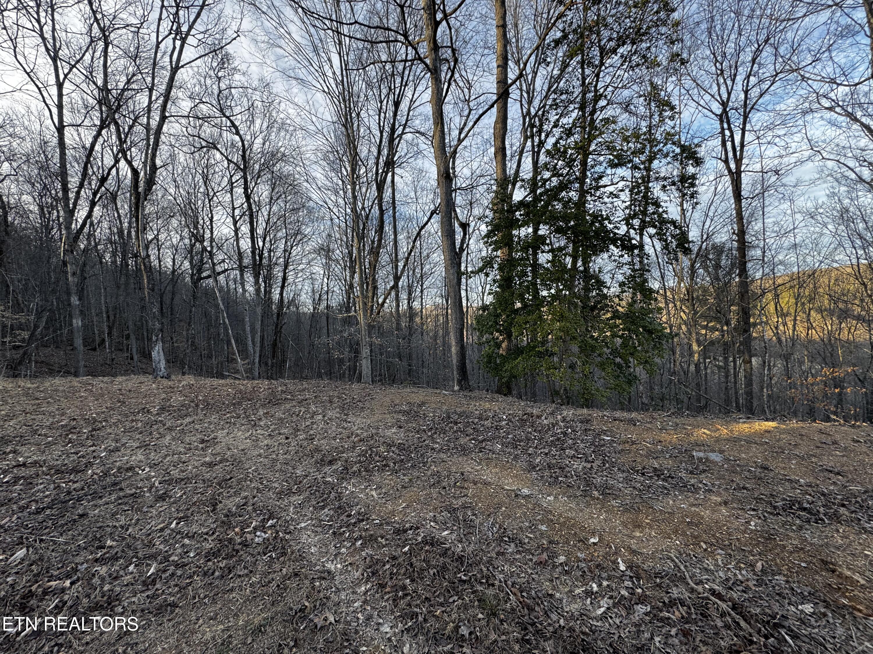 River Road Huntsville TN 37756