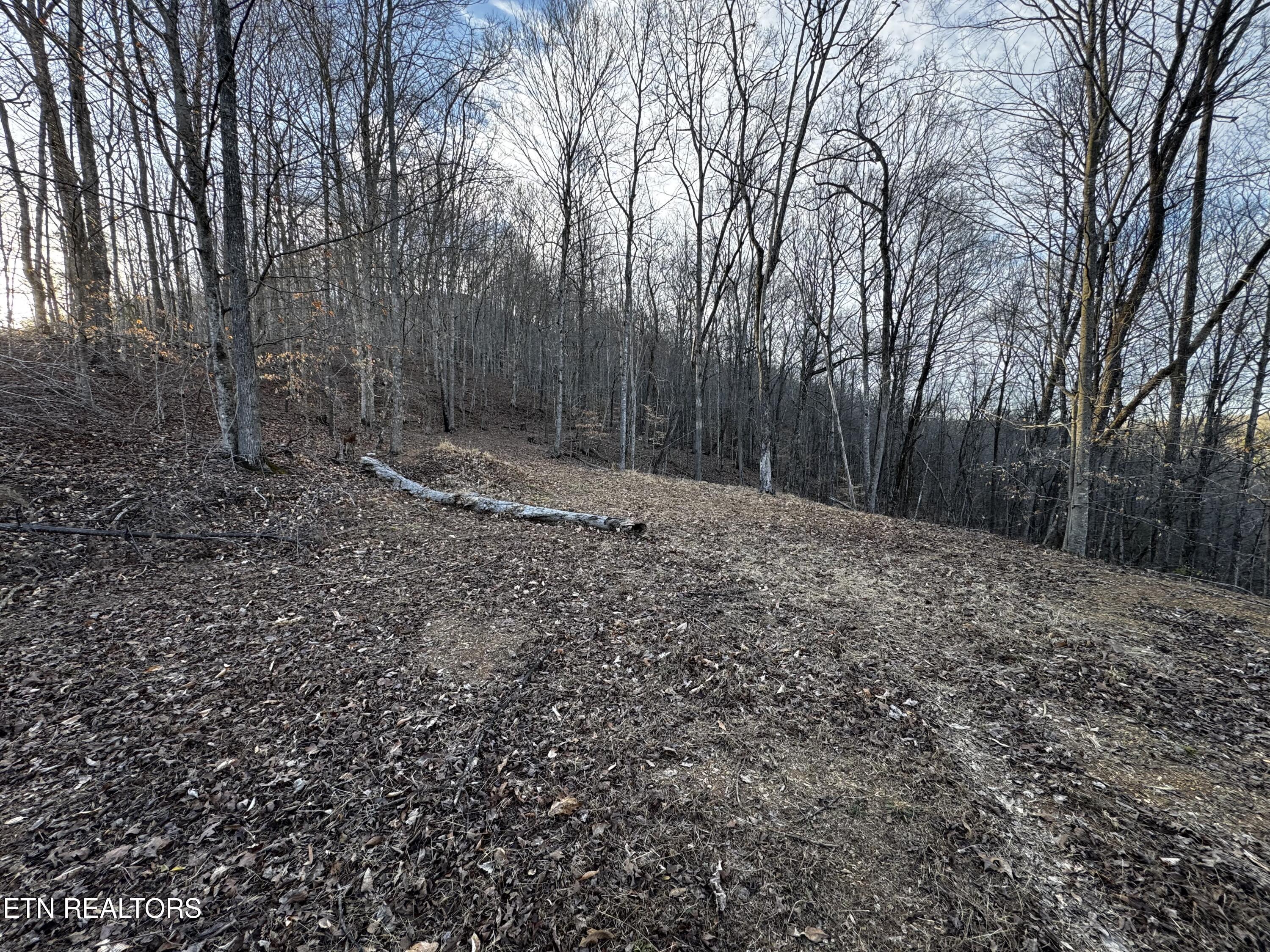 River Road Huntsville TN 37756