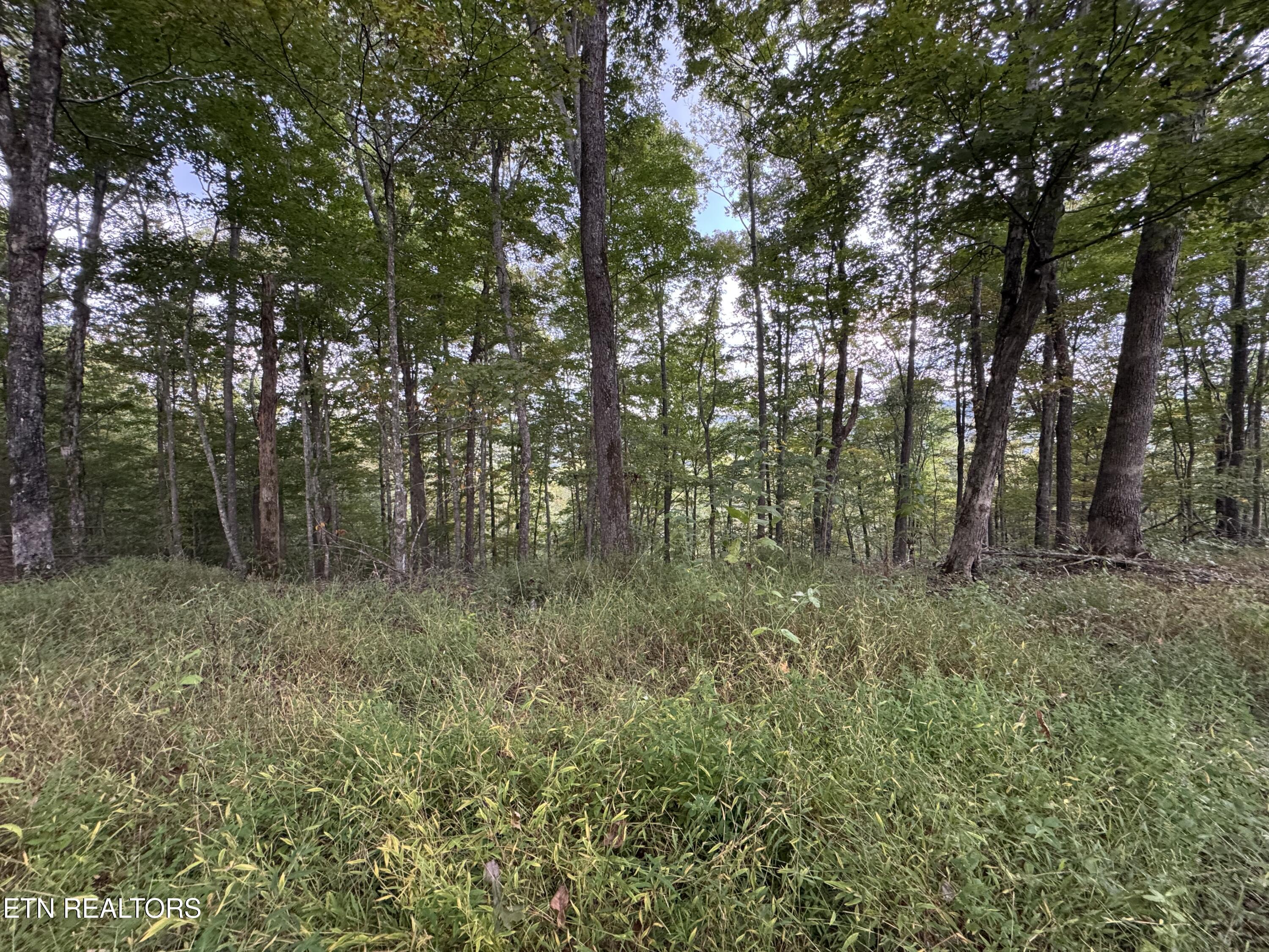 River Road Huntsville TN 37756