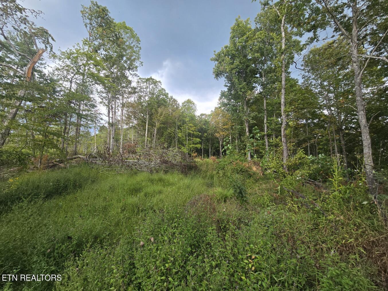 River Road Huntsville TN 37756