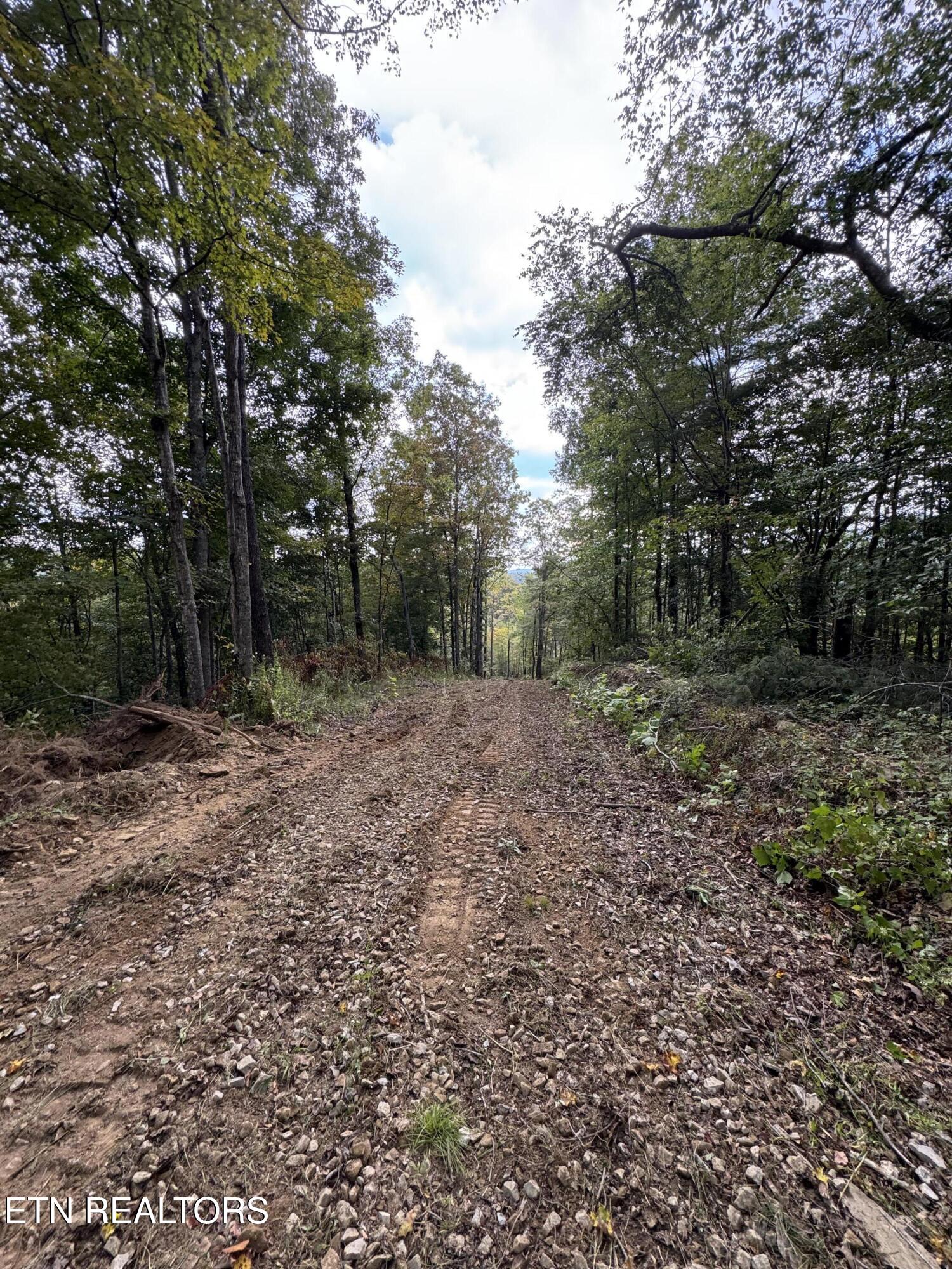 River Road Huntsville TN 37756