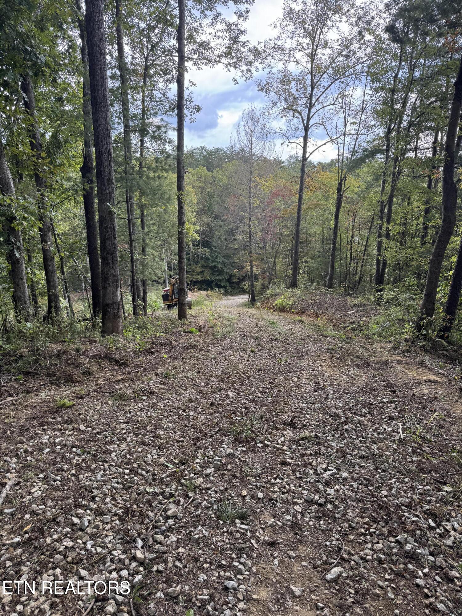 River Road Huntsville TN 37756