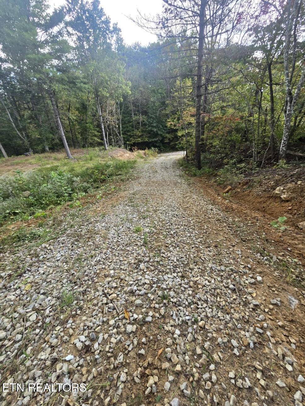 River Road Huntsville TN 37756