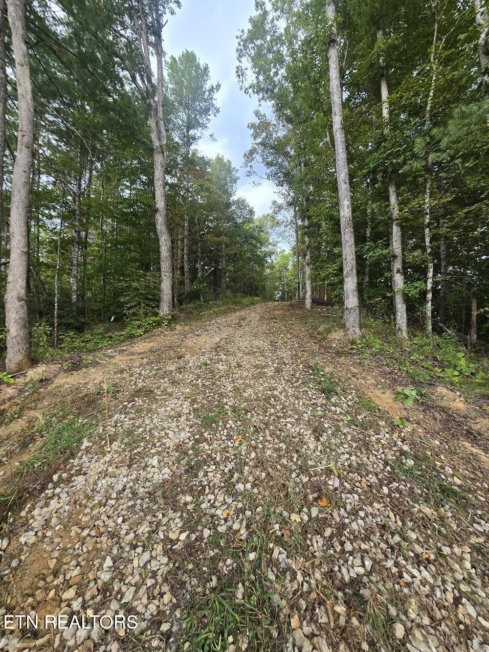 River Road Huntsville TN 37756