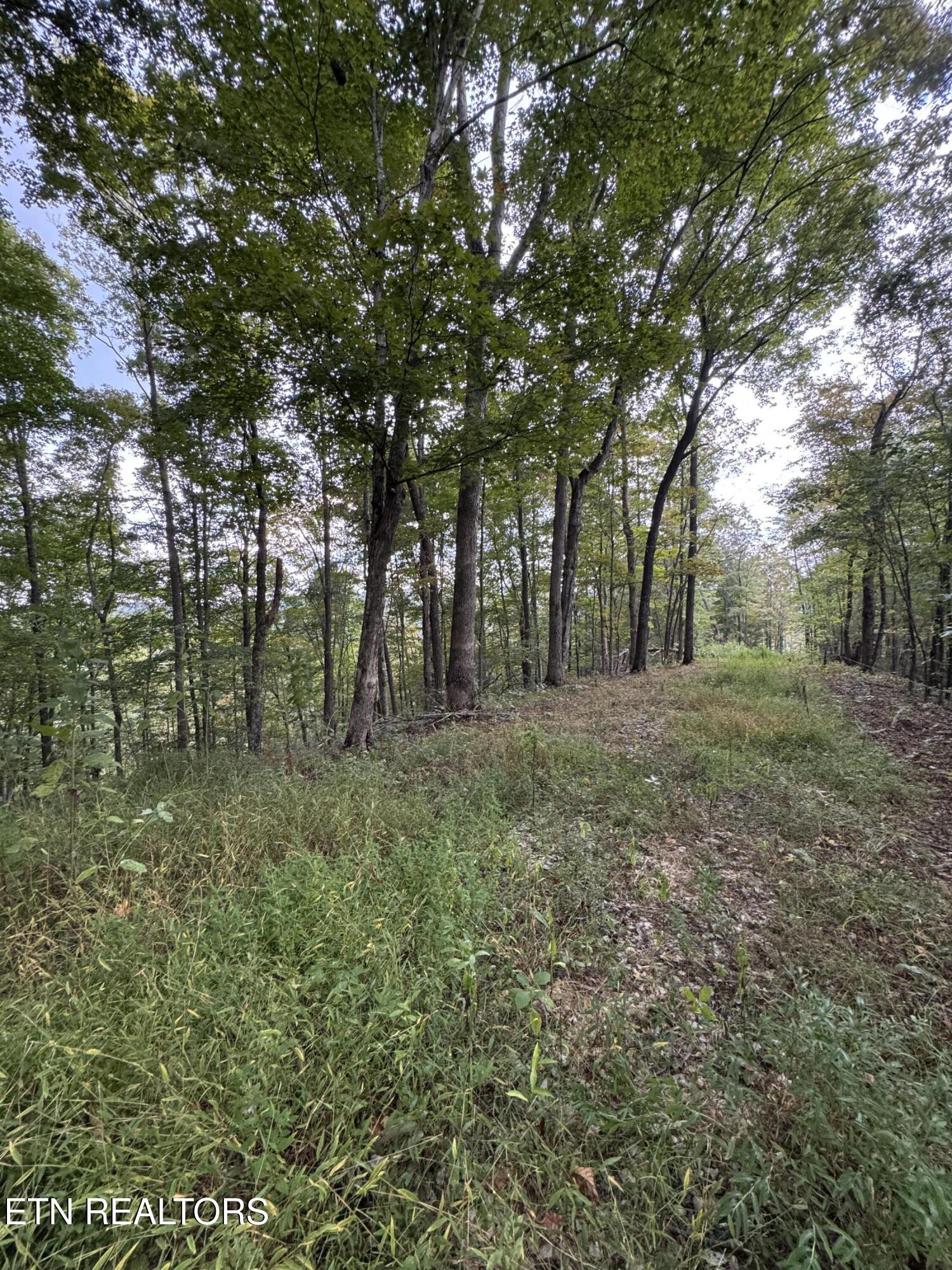 River Road Huntsville TN 37756