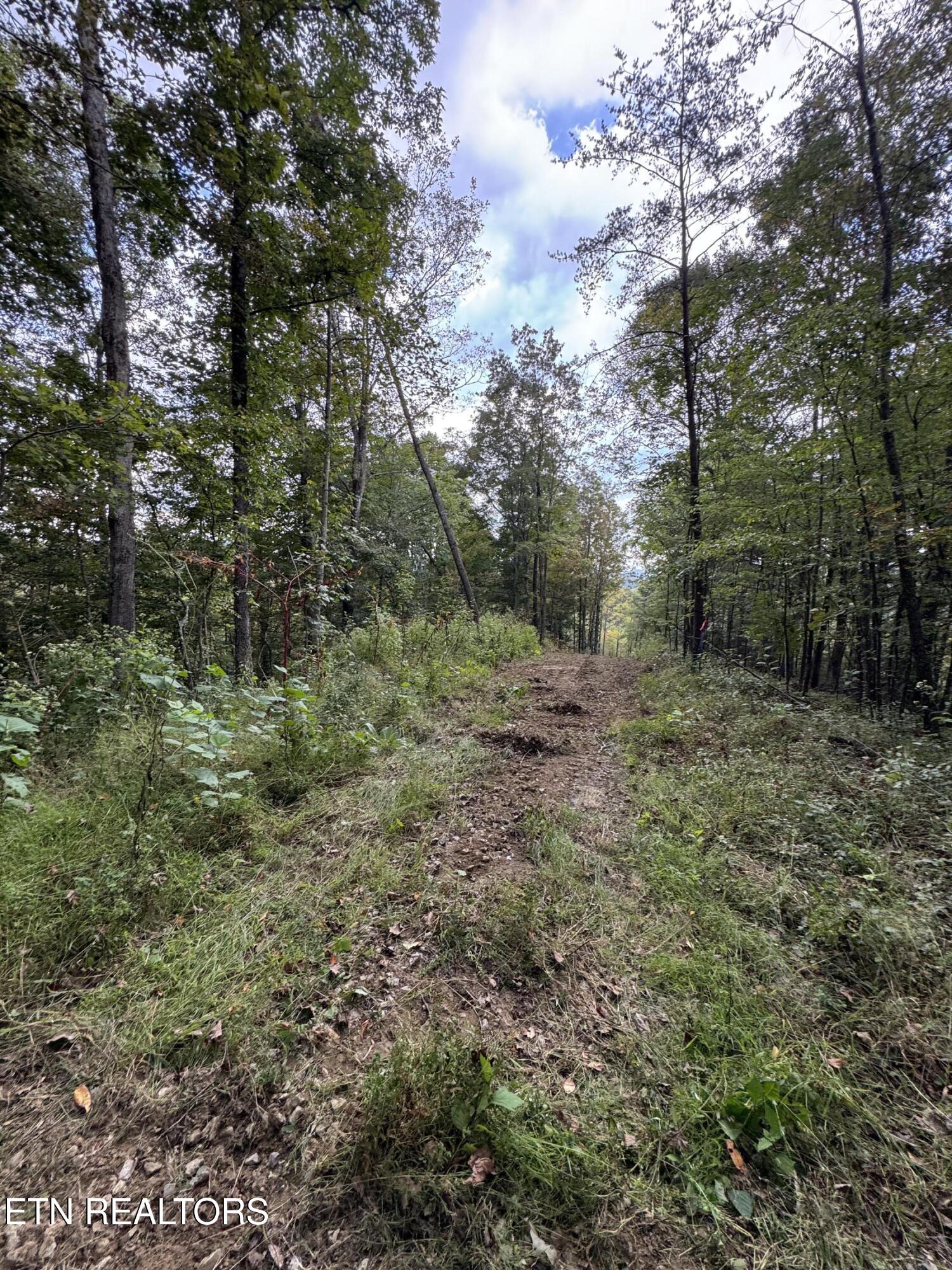 River Road Huntsville TN 37756