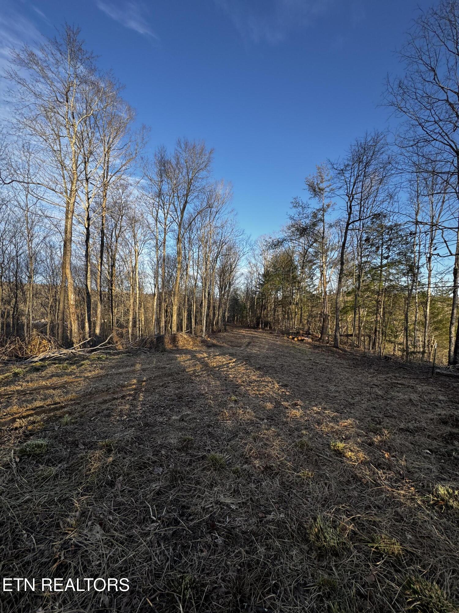 River Road Huntsville TN 37756