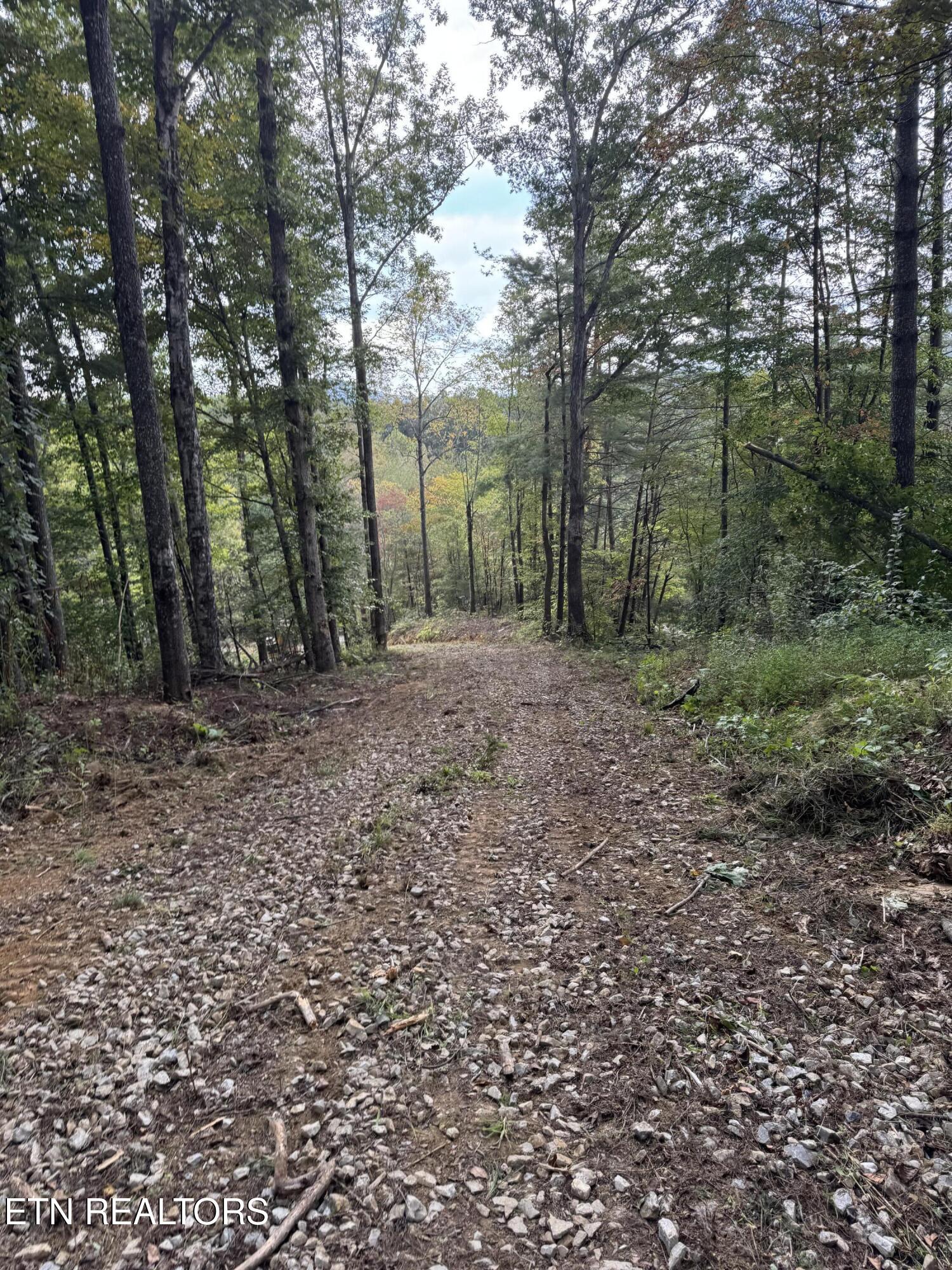 River Road Huntsville TN 37756