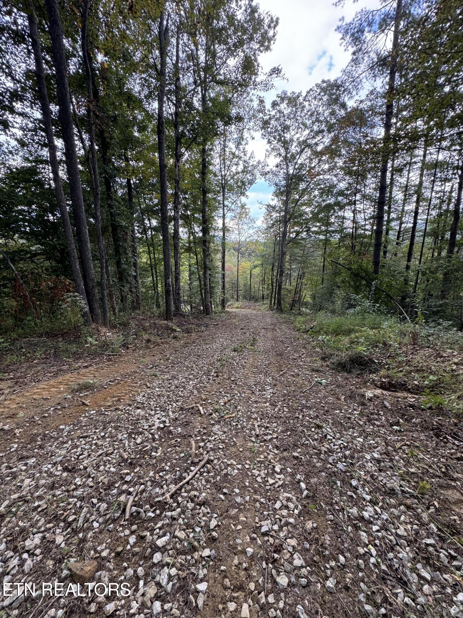 River Road Huntsville TN 37756