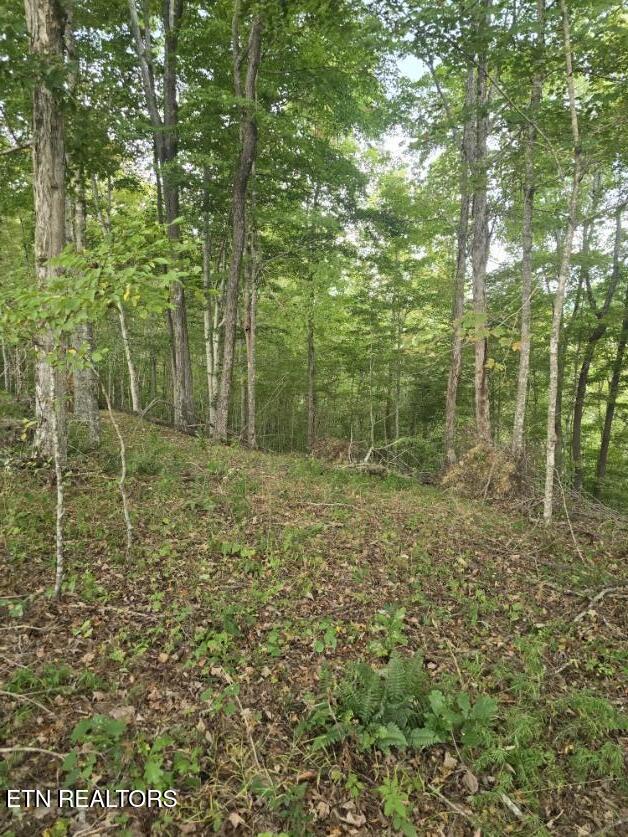 River Road Huntsville TN 37756