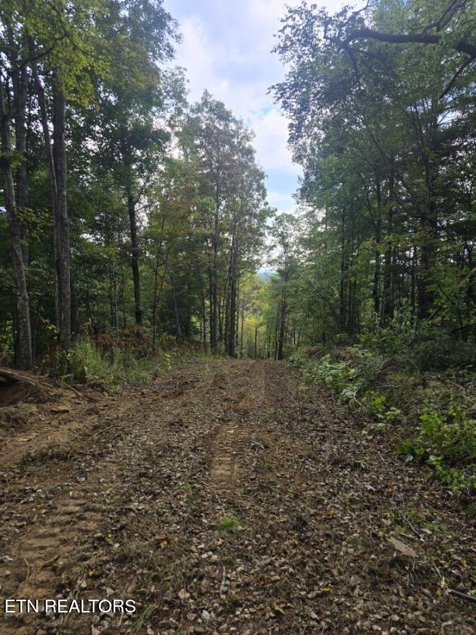 River Road Huntsville TN 37756