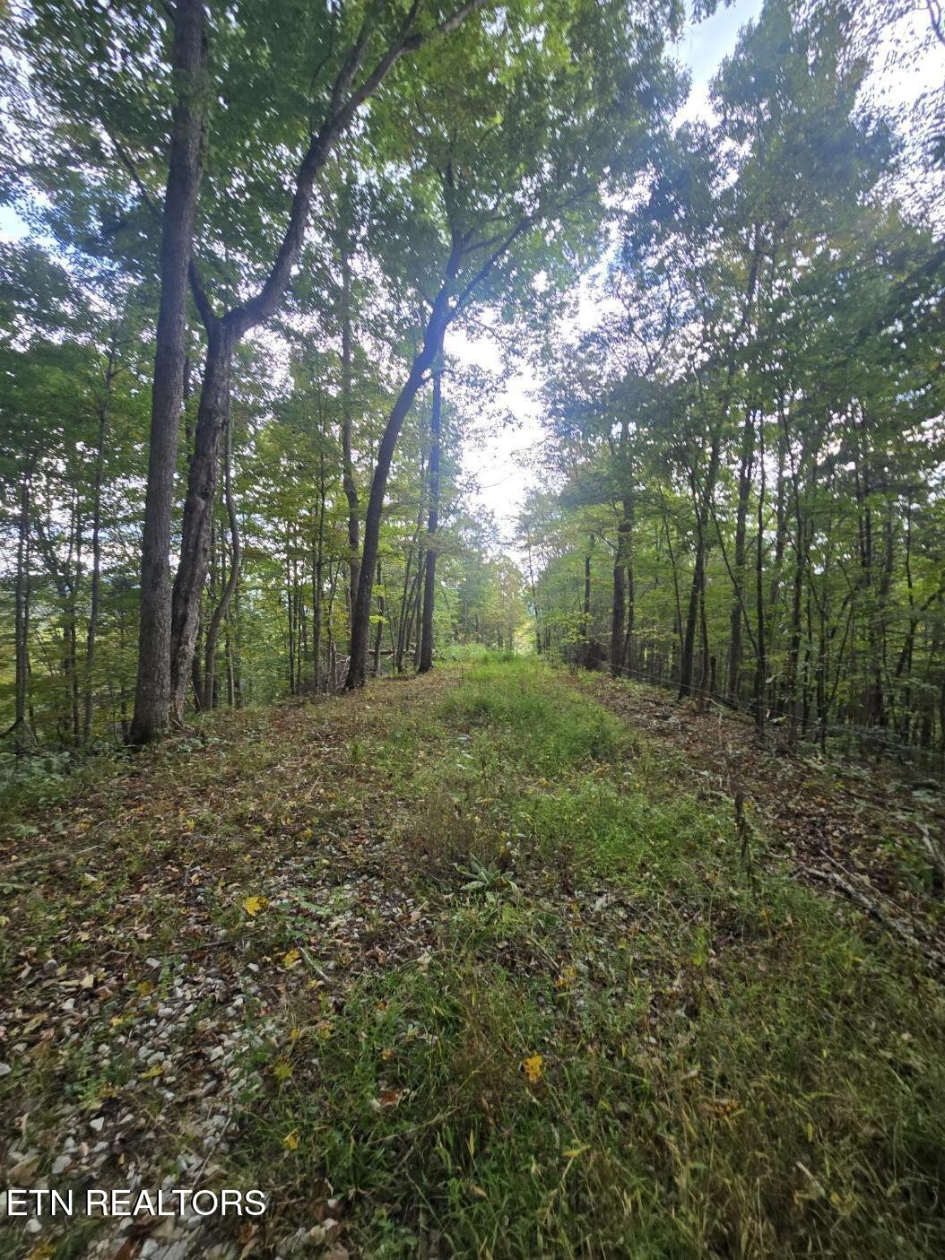 River Road Huntsville TN 37756