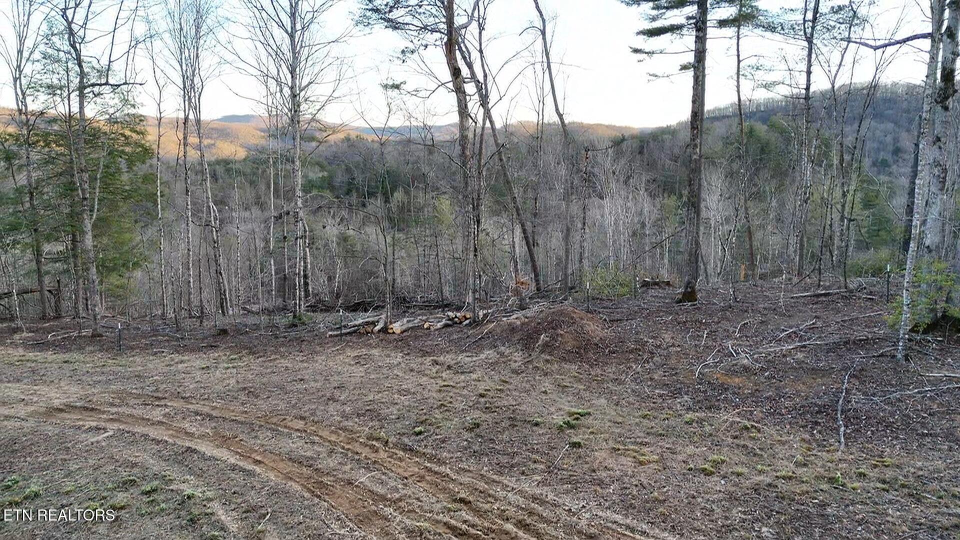 River Road Huntsville TN 37756