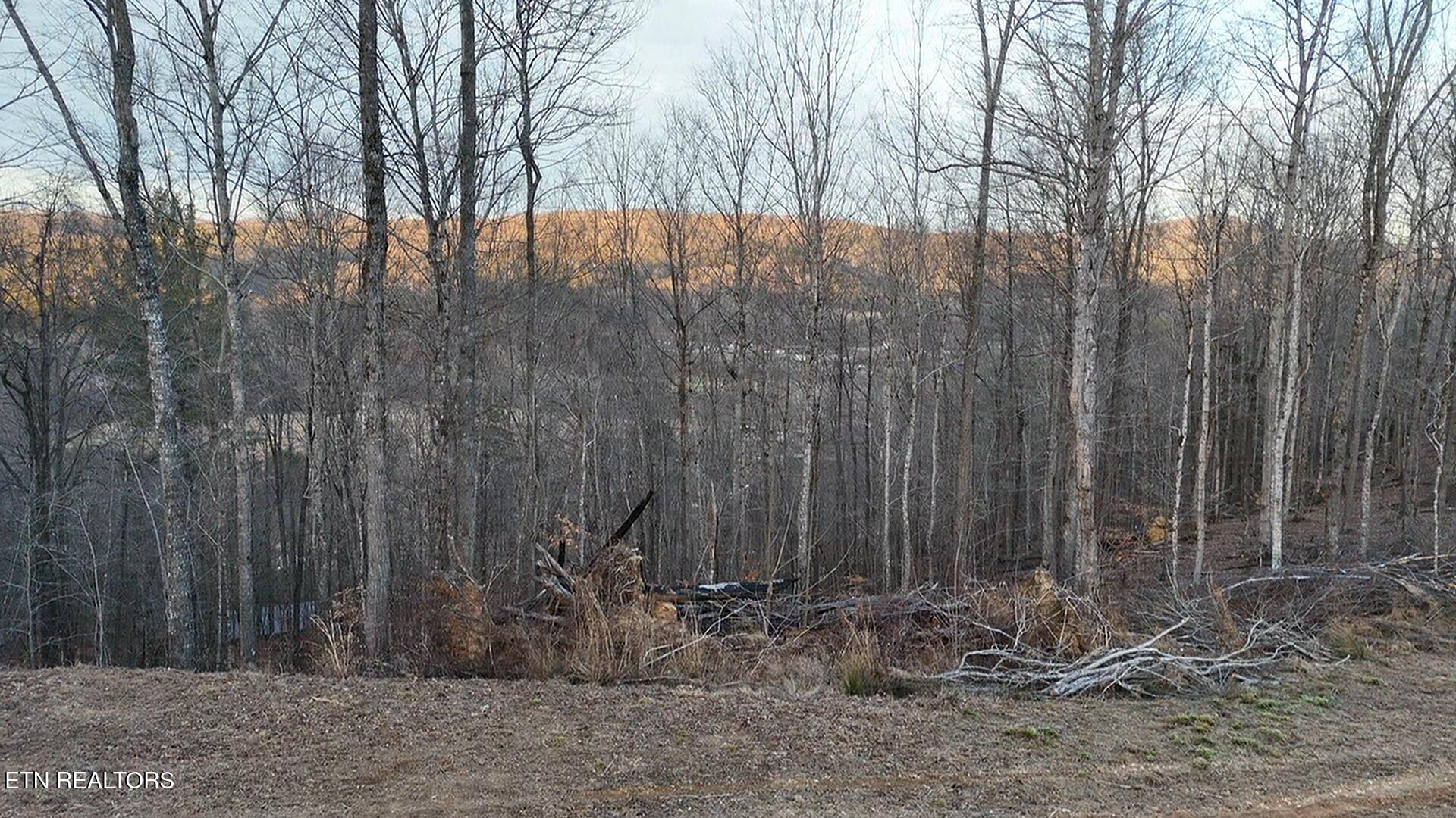River Road Huntsville TN 37756