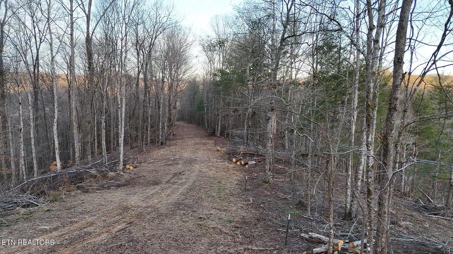 River Road Huntsville TN 37756