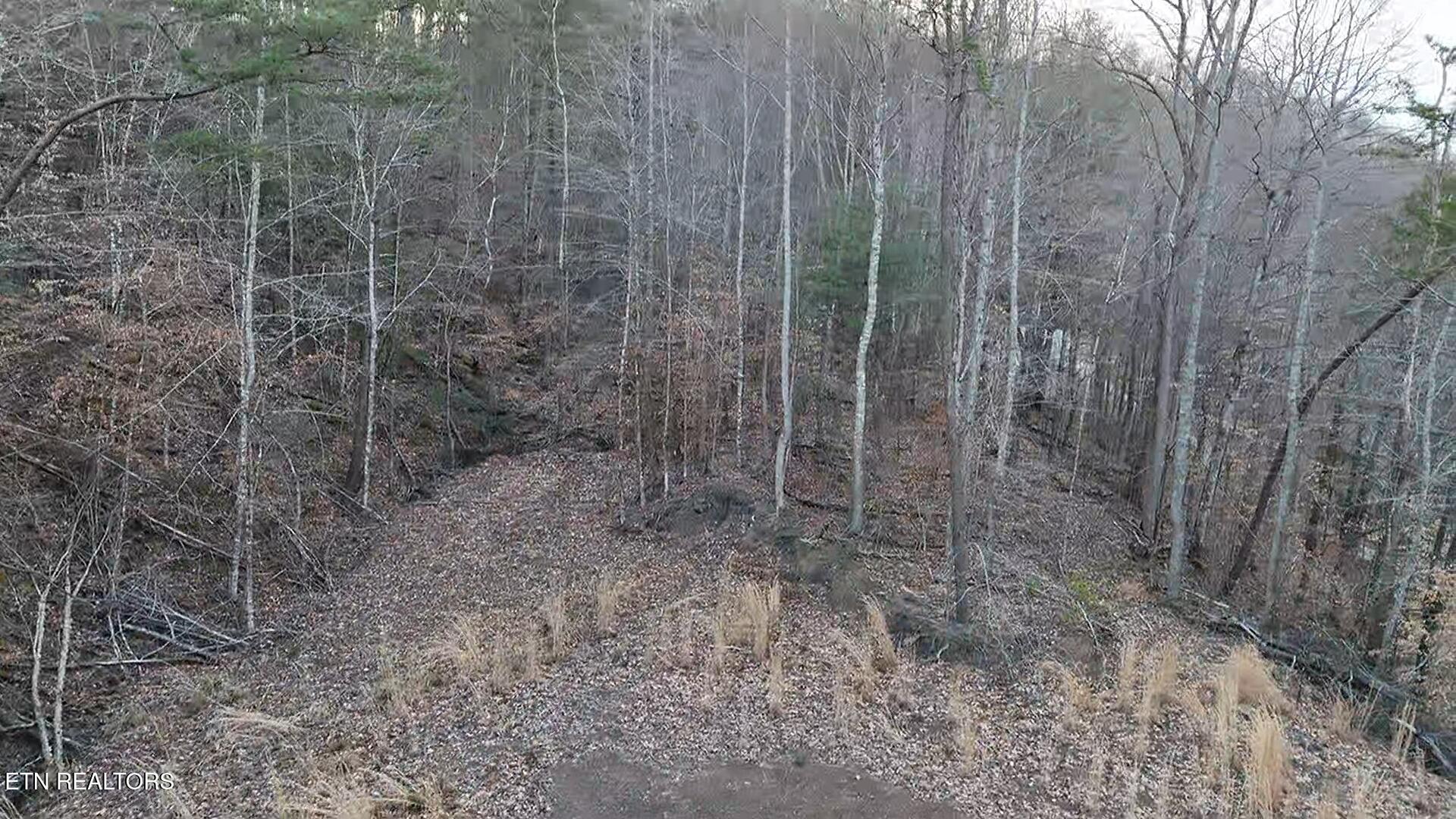River Road Huntsville TN 37756
