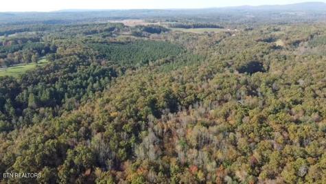42+- Acres Dogwood Road Grandview TN 37337
