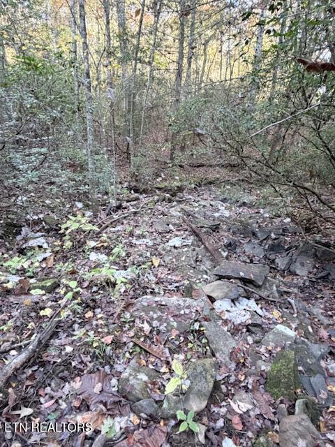 42+- Acres Dogwood Road Grandview TN 37337