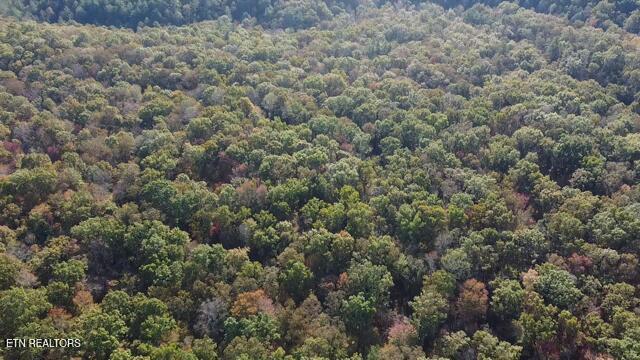 42+- Acres Dogwood Road Grandview TN 37337
