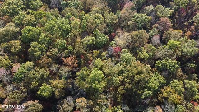 42+- Acres Dogwood Road Grandview TN 37337