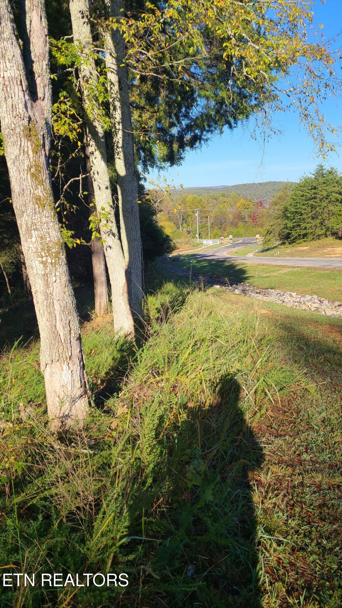 1613 New Hope Road Rockwood TN 37854