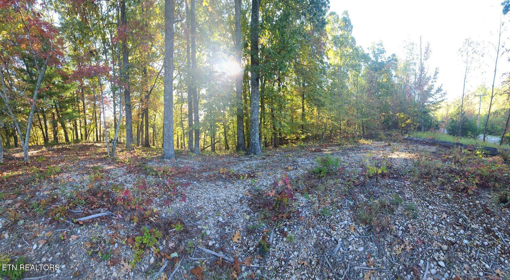 1613 New Hope Road Rockwood TN 37854