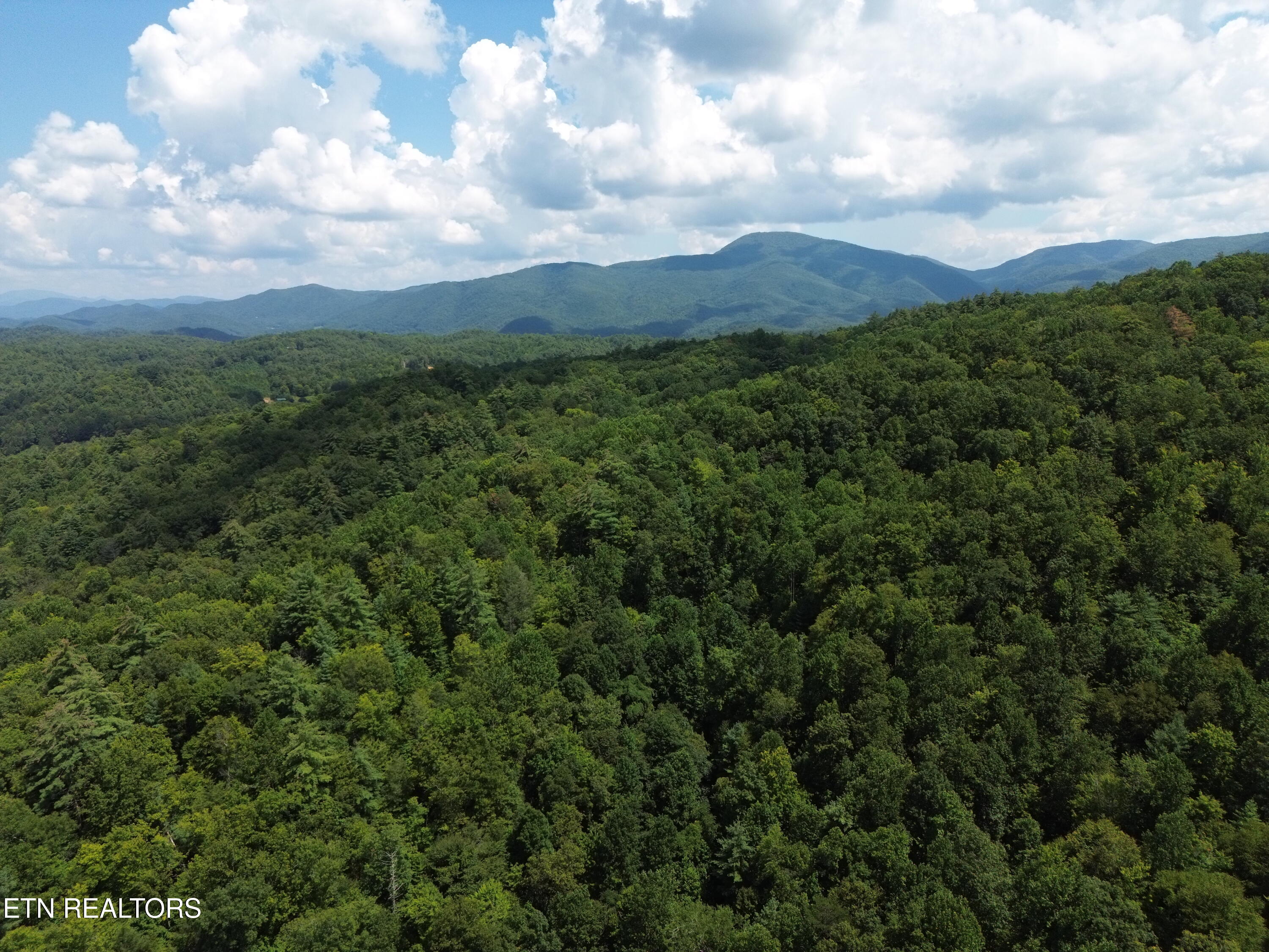 Bull Mountain Road Del Rio TN 37727