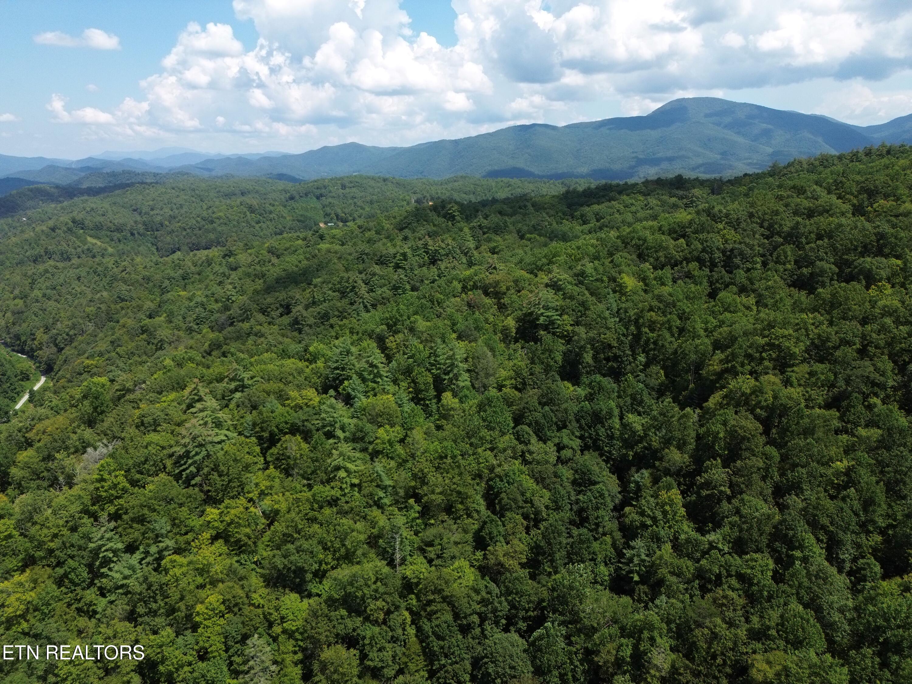 Bull Mountain Road Del Rio TN 37727