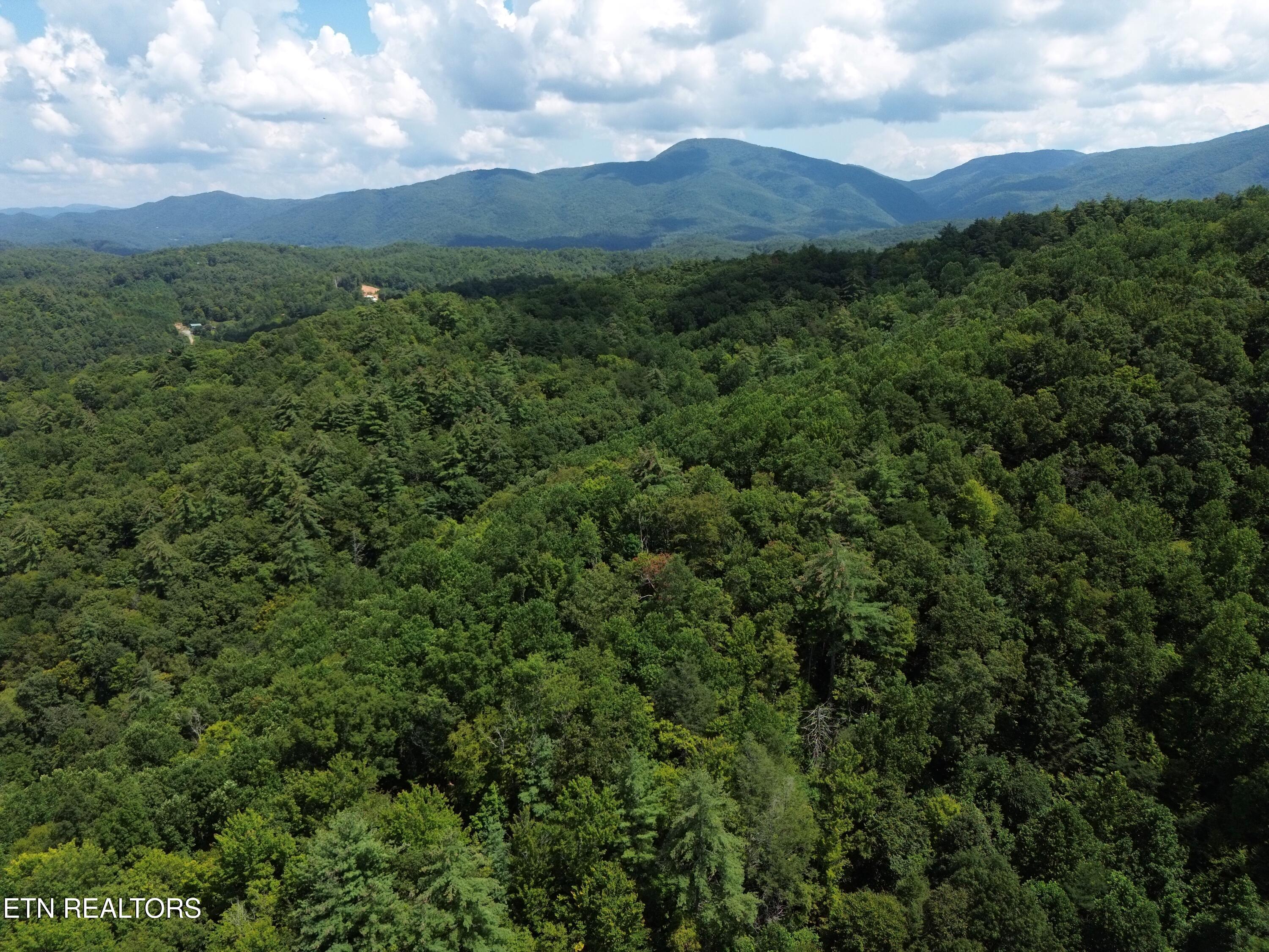 Bull Mountain Road Del Rio TN 37727