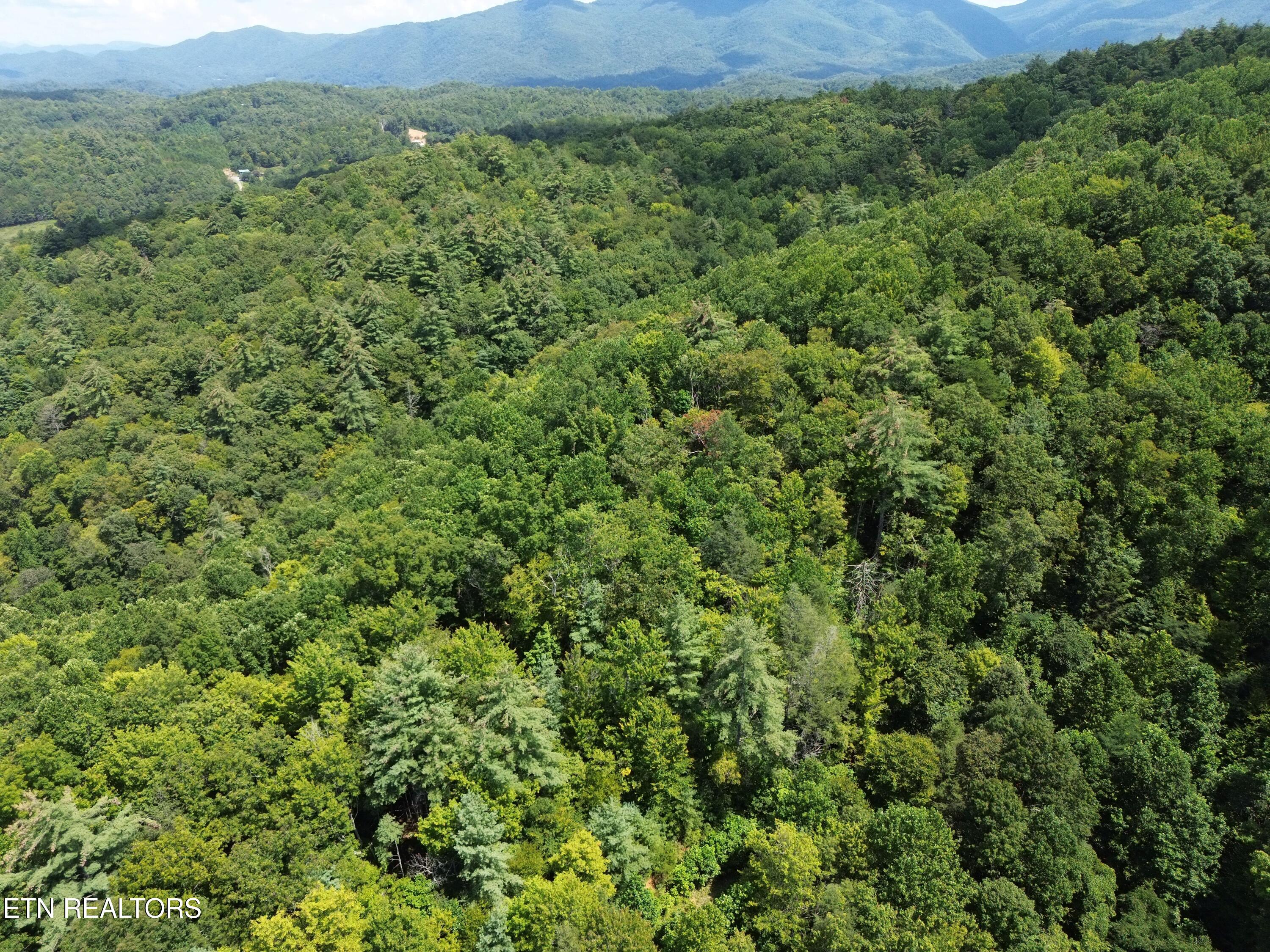 Bull Mountain Road Del Rio TN 37727