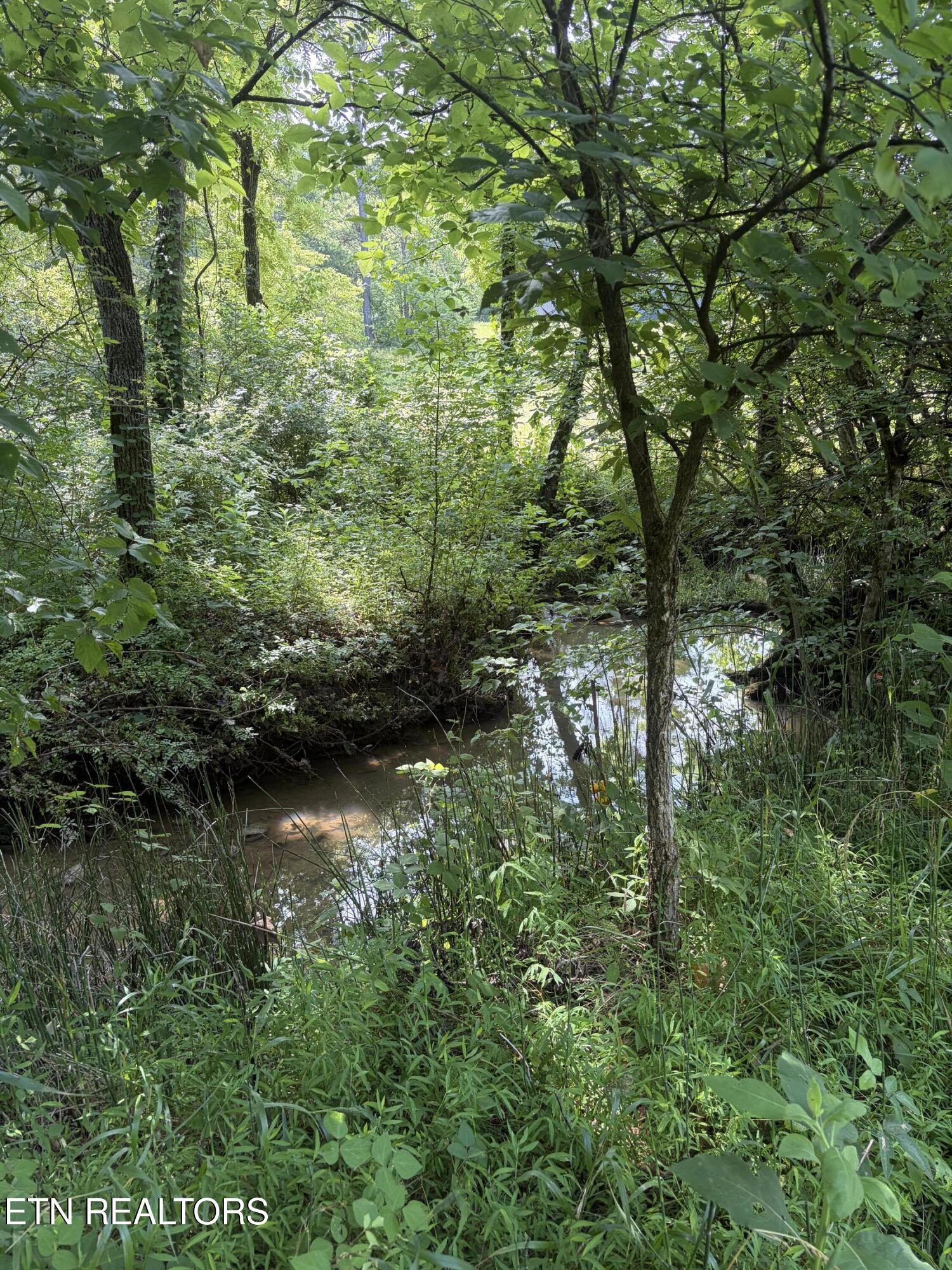 0 Kodak Road Knoxville TN 37914
