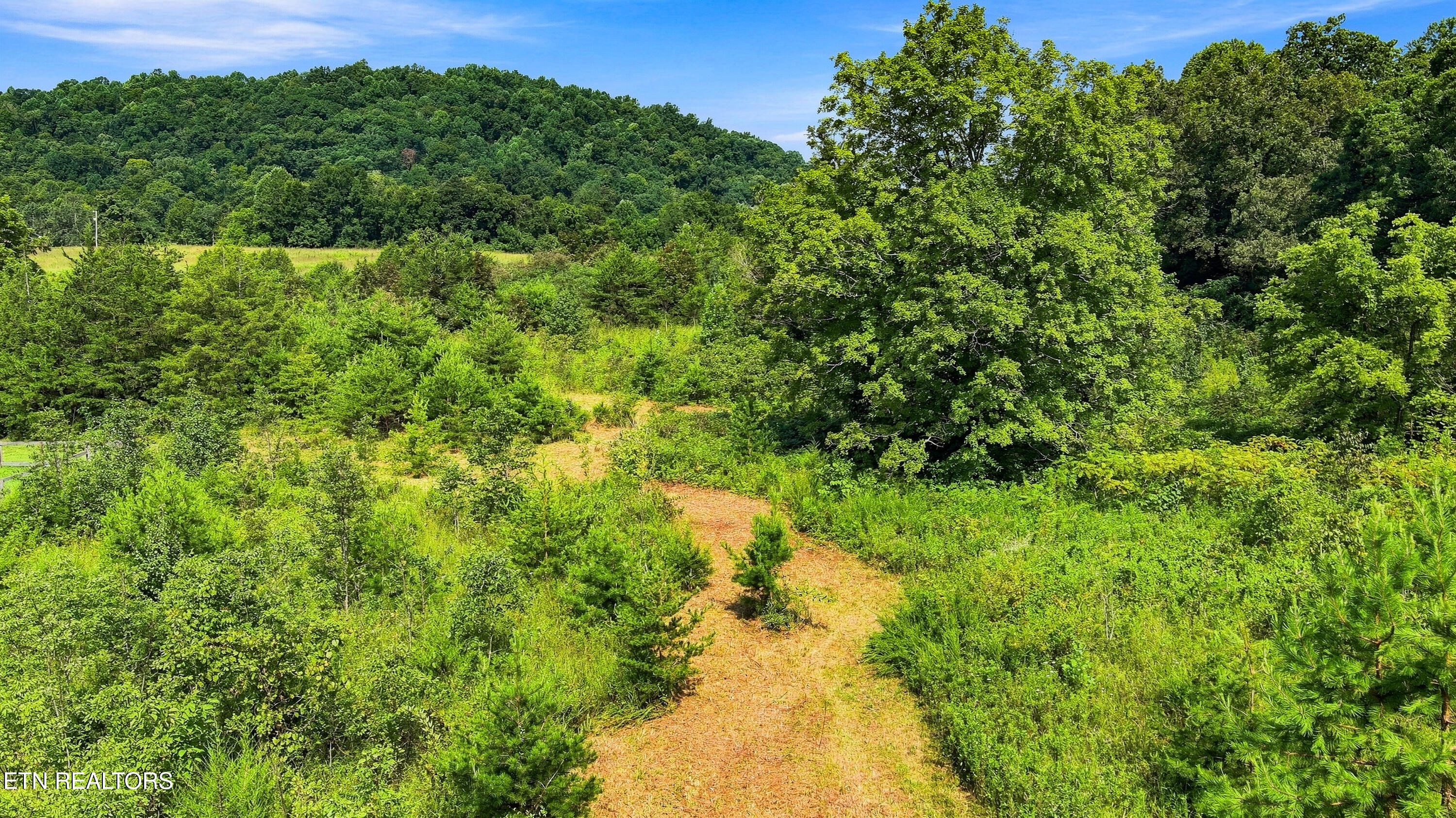 130 Beard Valley Road Maynardville TN 37807