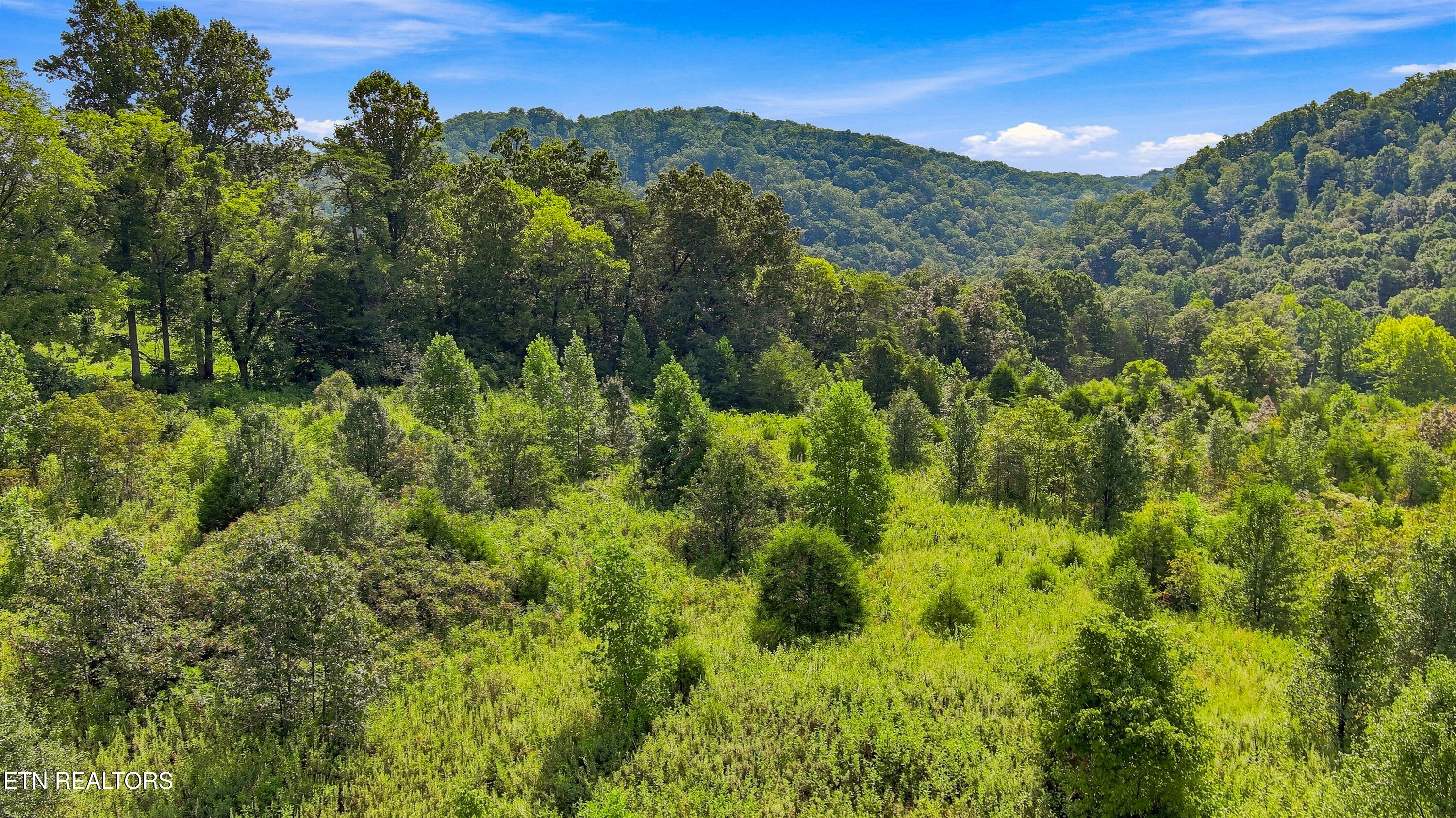130 Beard Valley Road Maynardville TN 37807