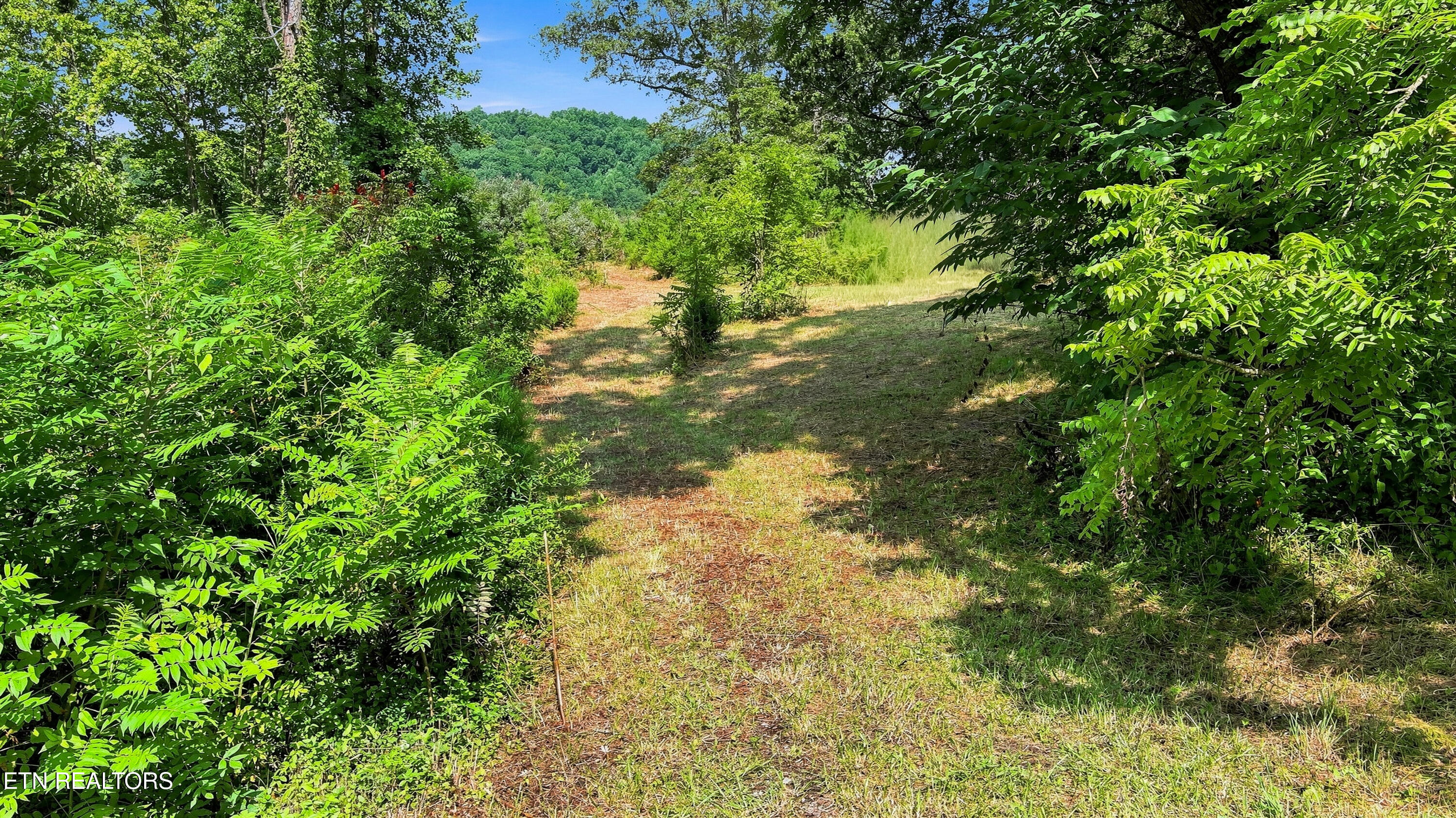 130 Beard Valley Road Maynardville TN 37807