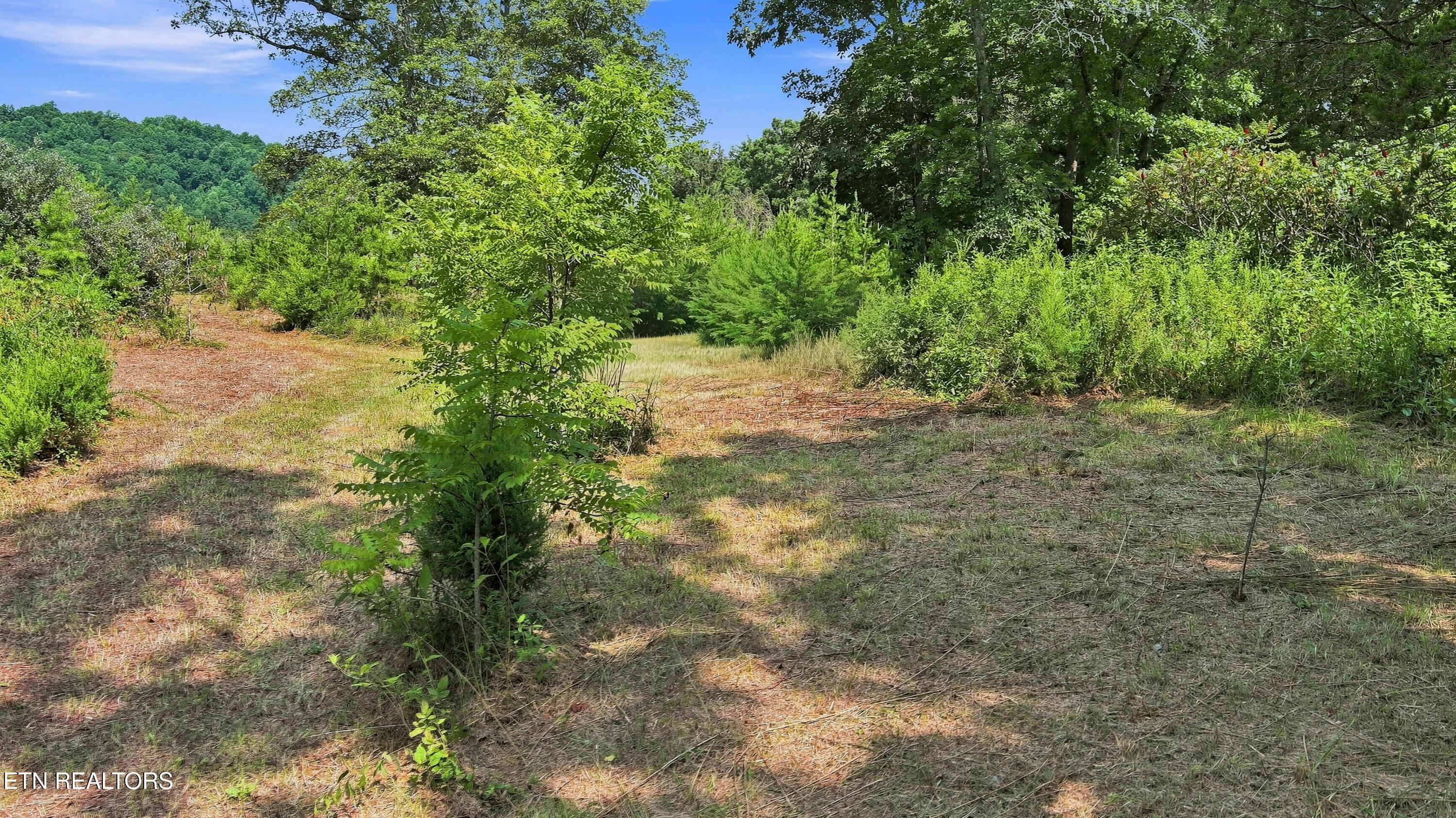 130 Beard Valley Road Maynardville TN 37807