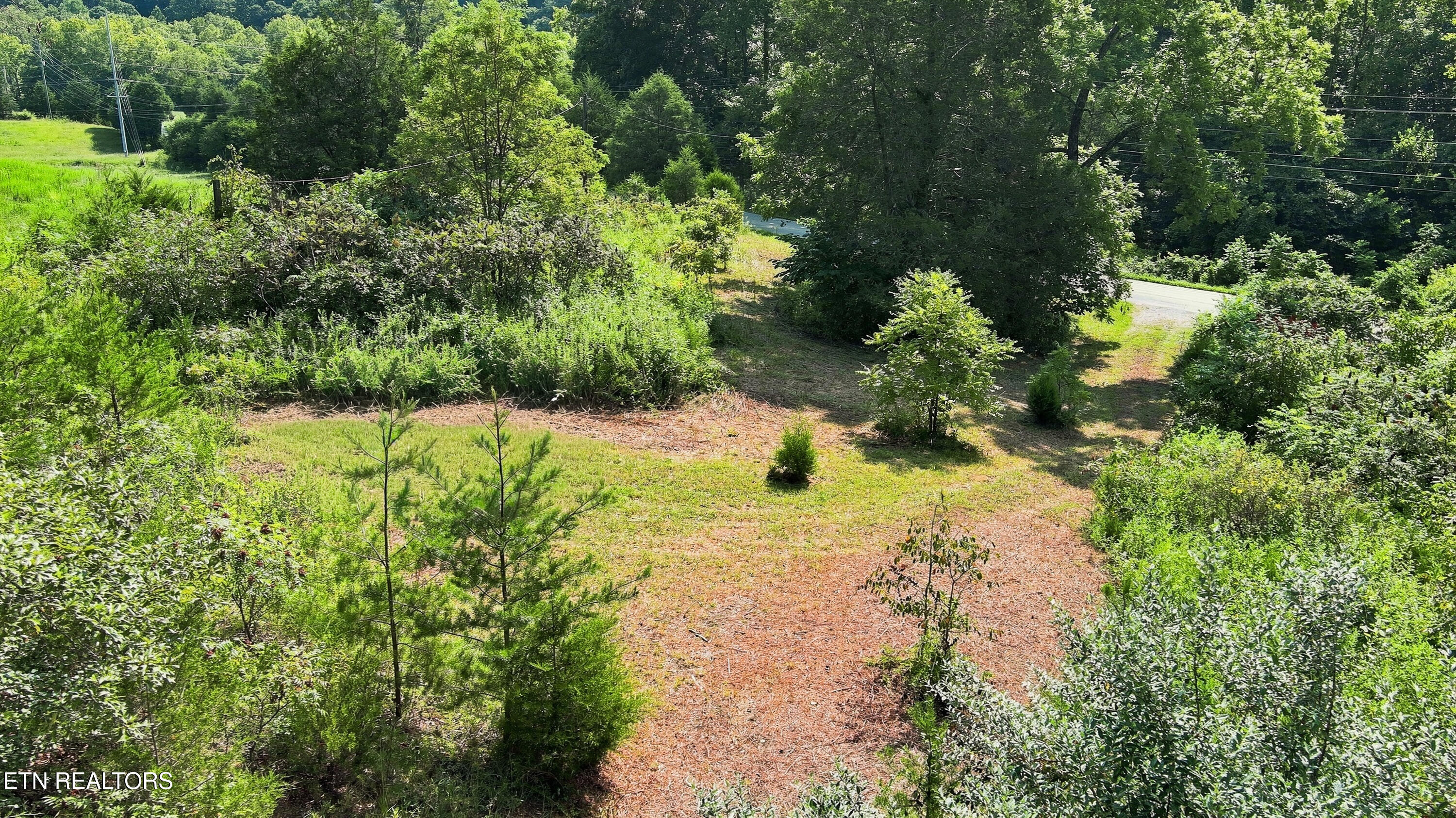 130 Beard Valley Road Maynardville TN 37807