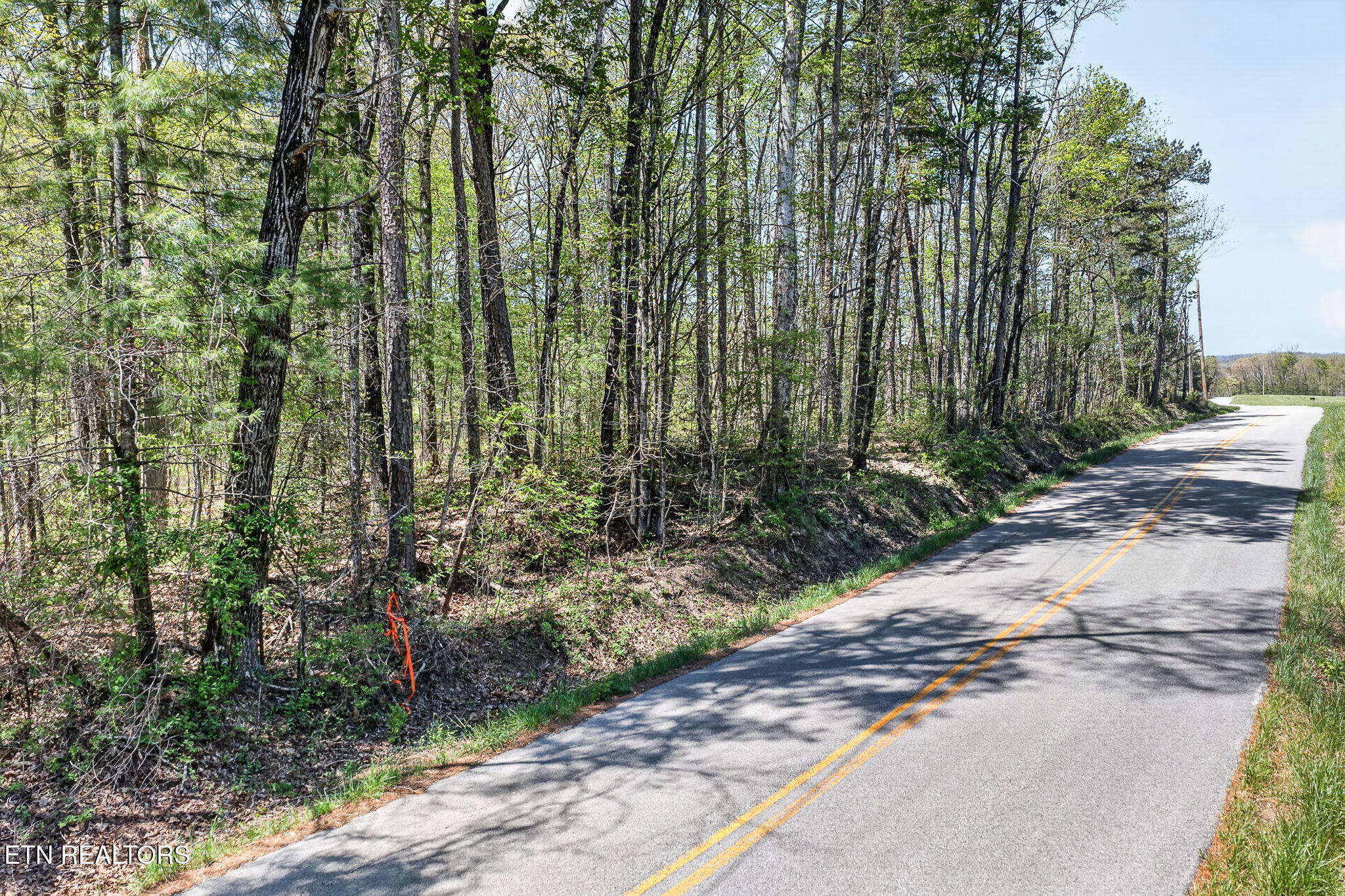 Lot 4 Smith Mountain Road Rockwood TN 37854