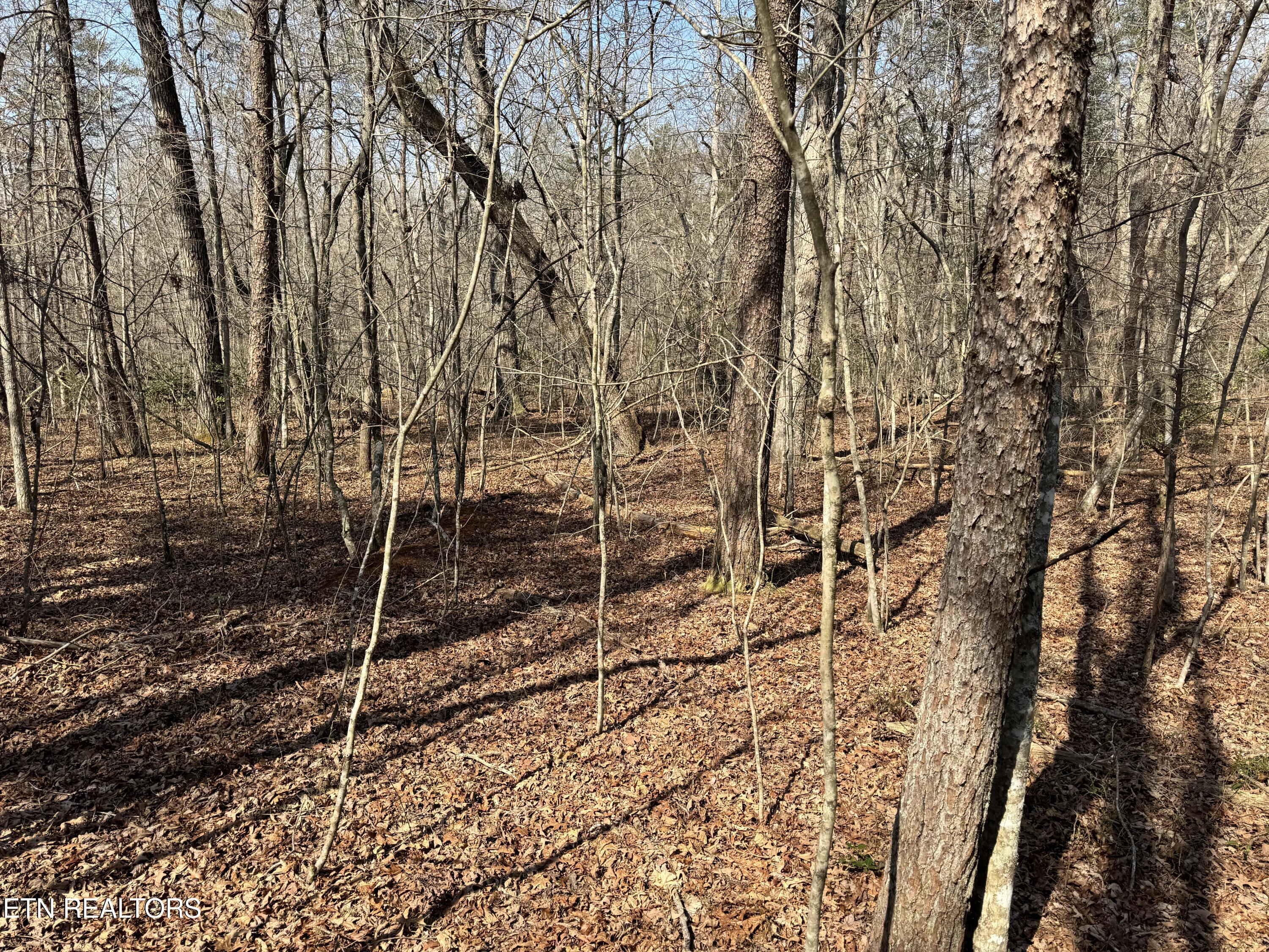 Ash Place Monterey TN 38574