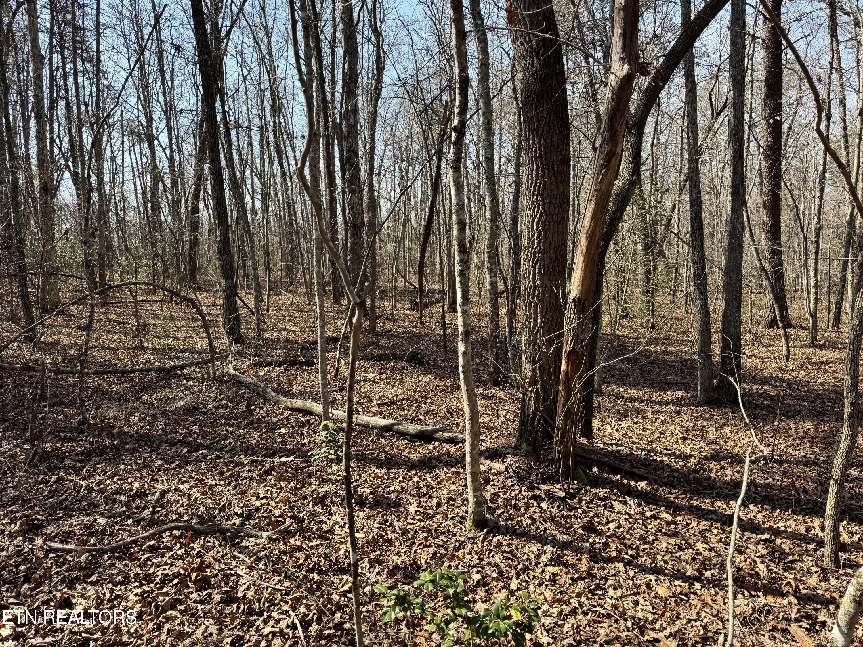 Ash Place Monterey TN 38574