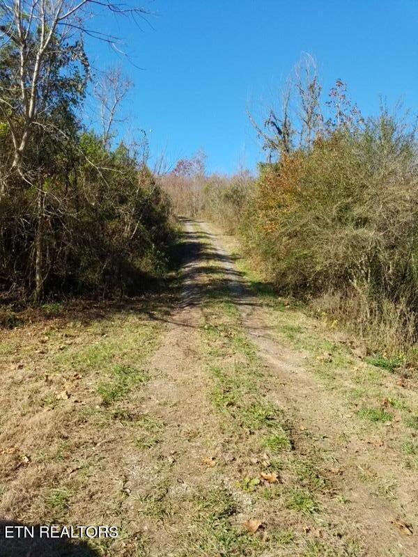 417 Womac Hollow Road Ten Mile TN 37880