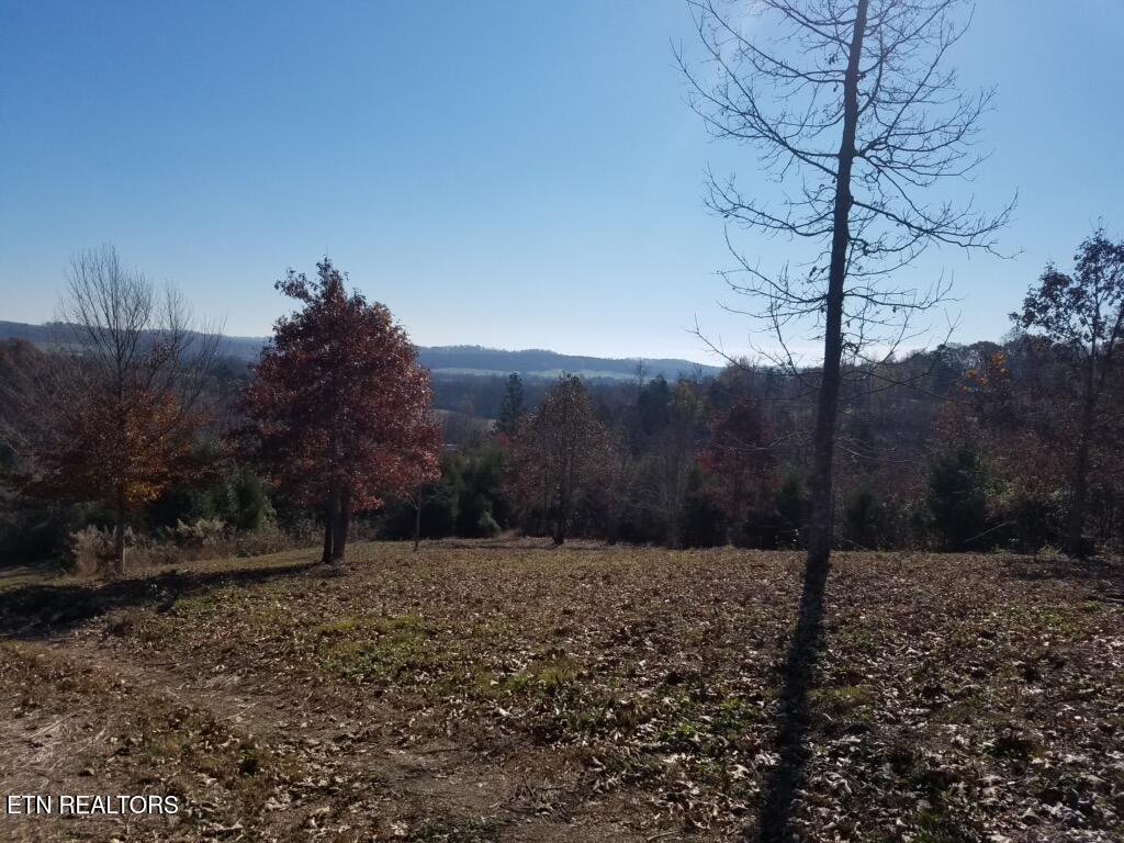 417 Womac Hollow Road Ten Mile TN 37880