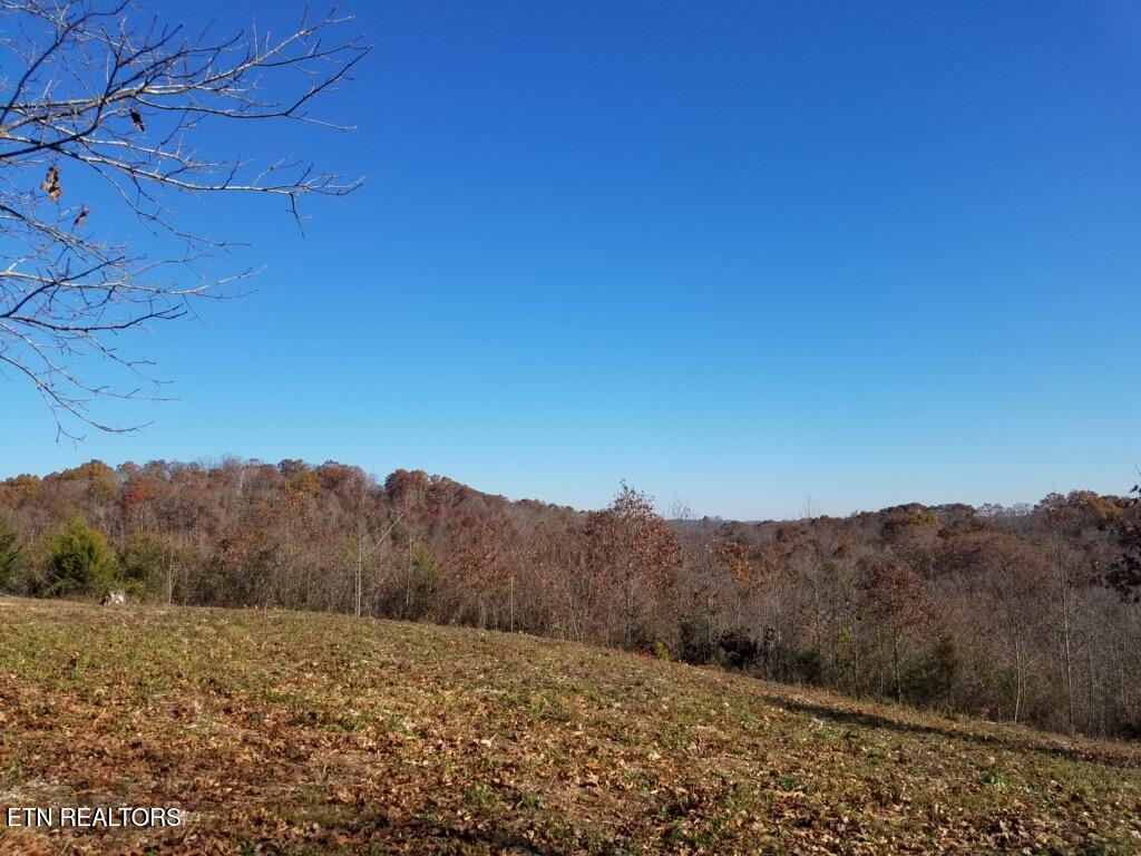 417 Womac Hollow Road Ten Mile TN 37880